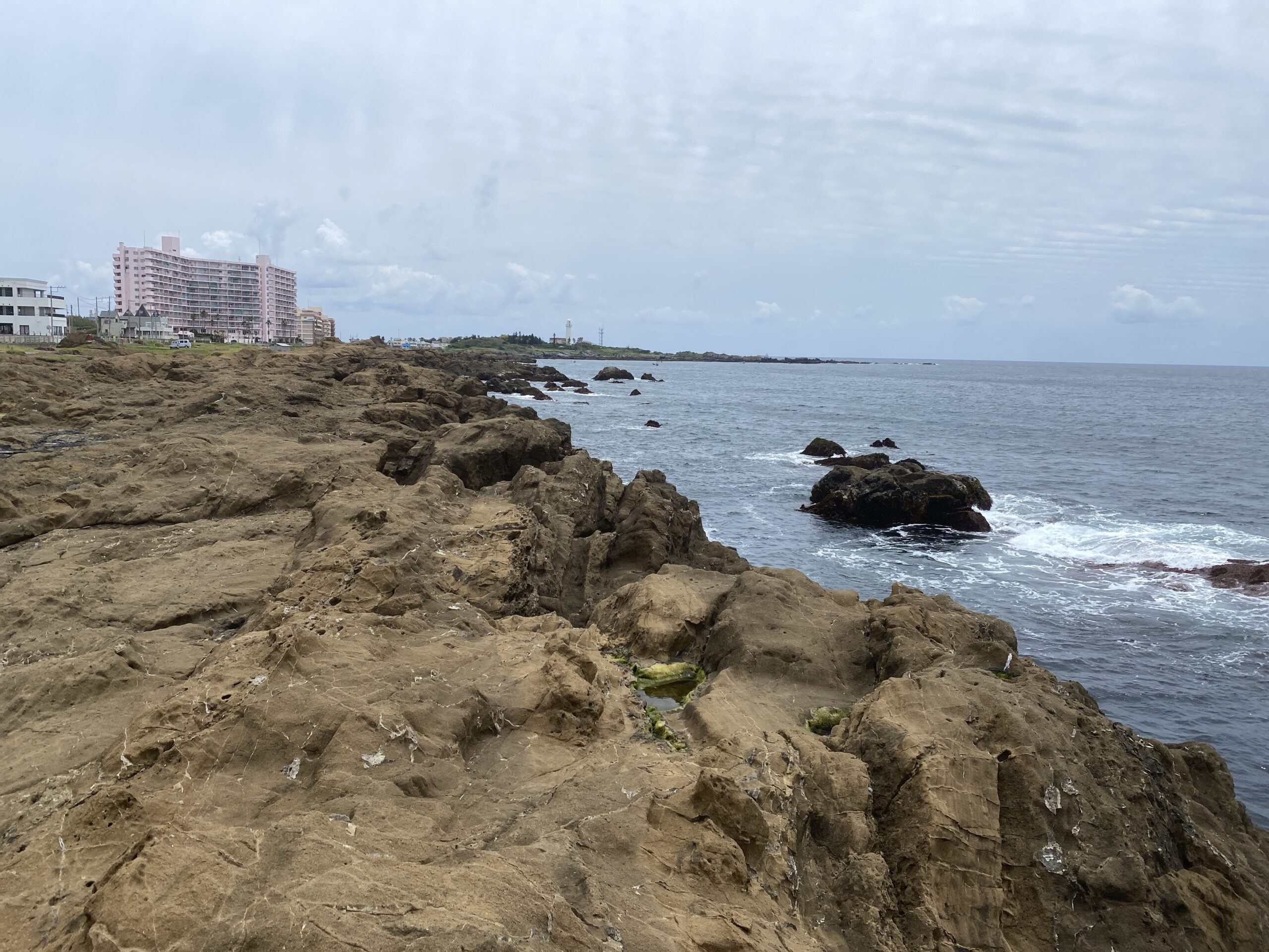 南房総 フローラルホール下の磯 釣り