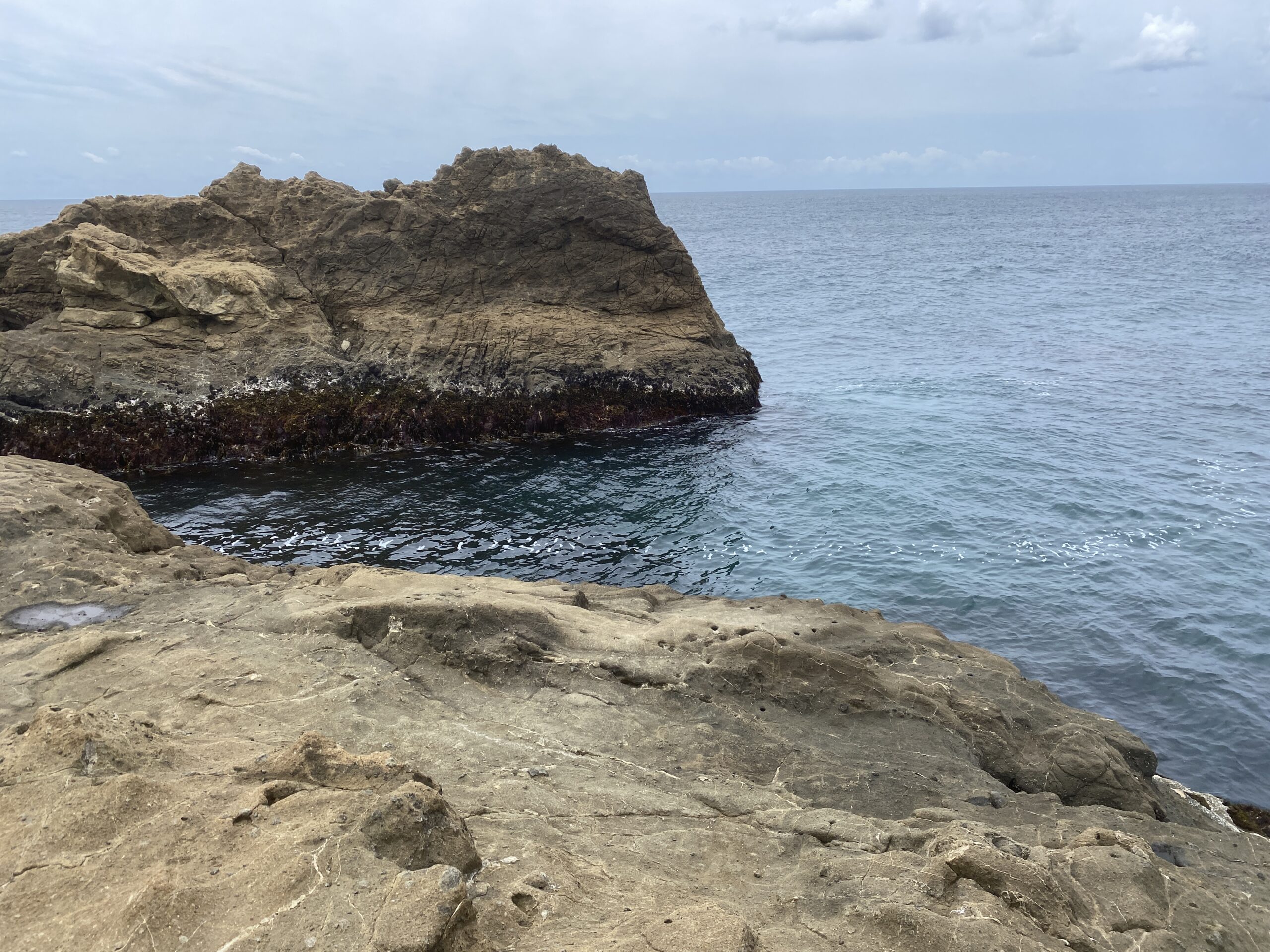 南房総 フローラルホール下の磯 釣り