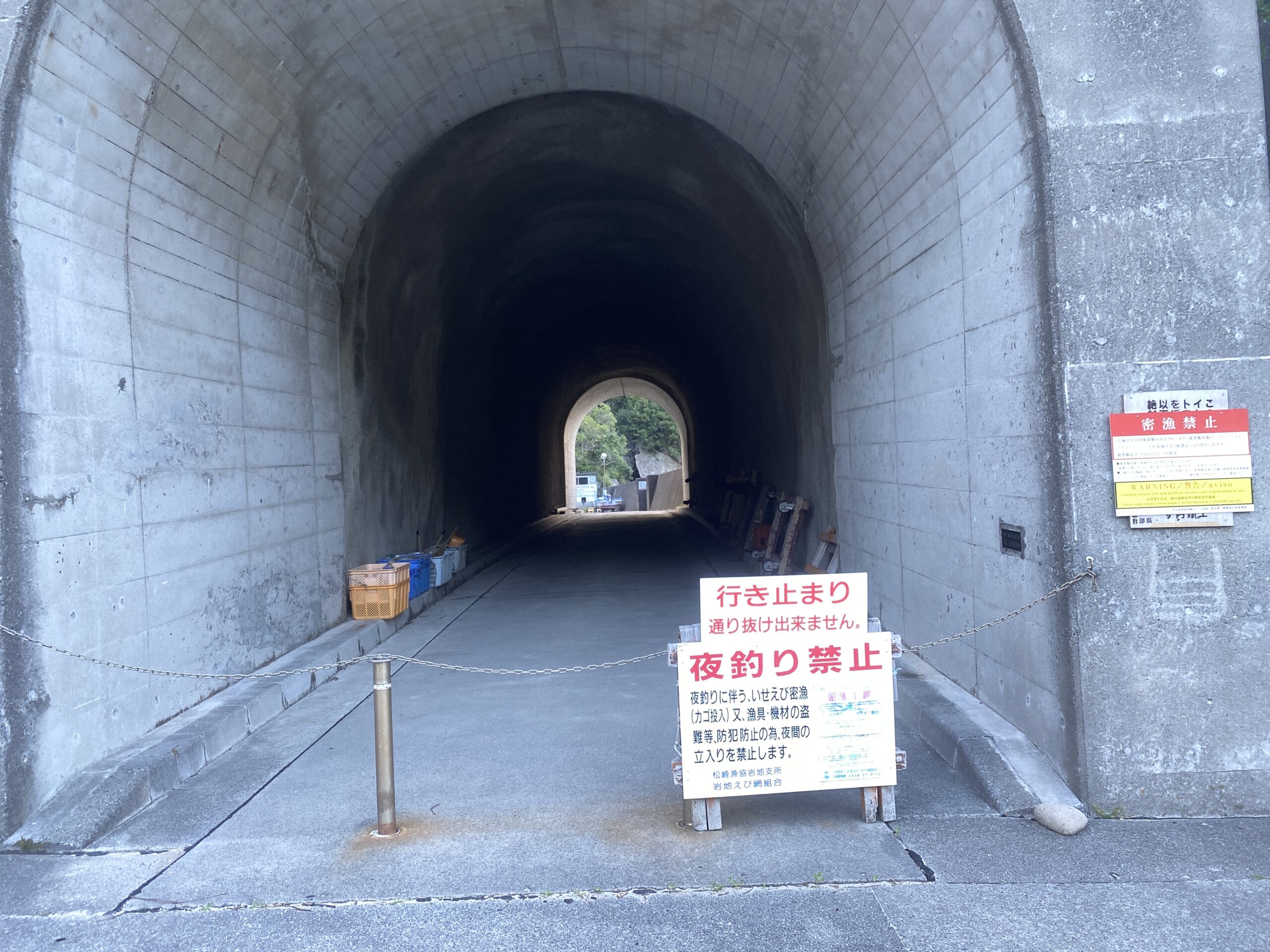 岩地漁港　釣り