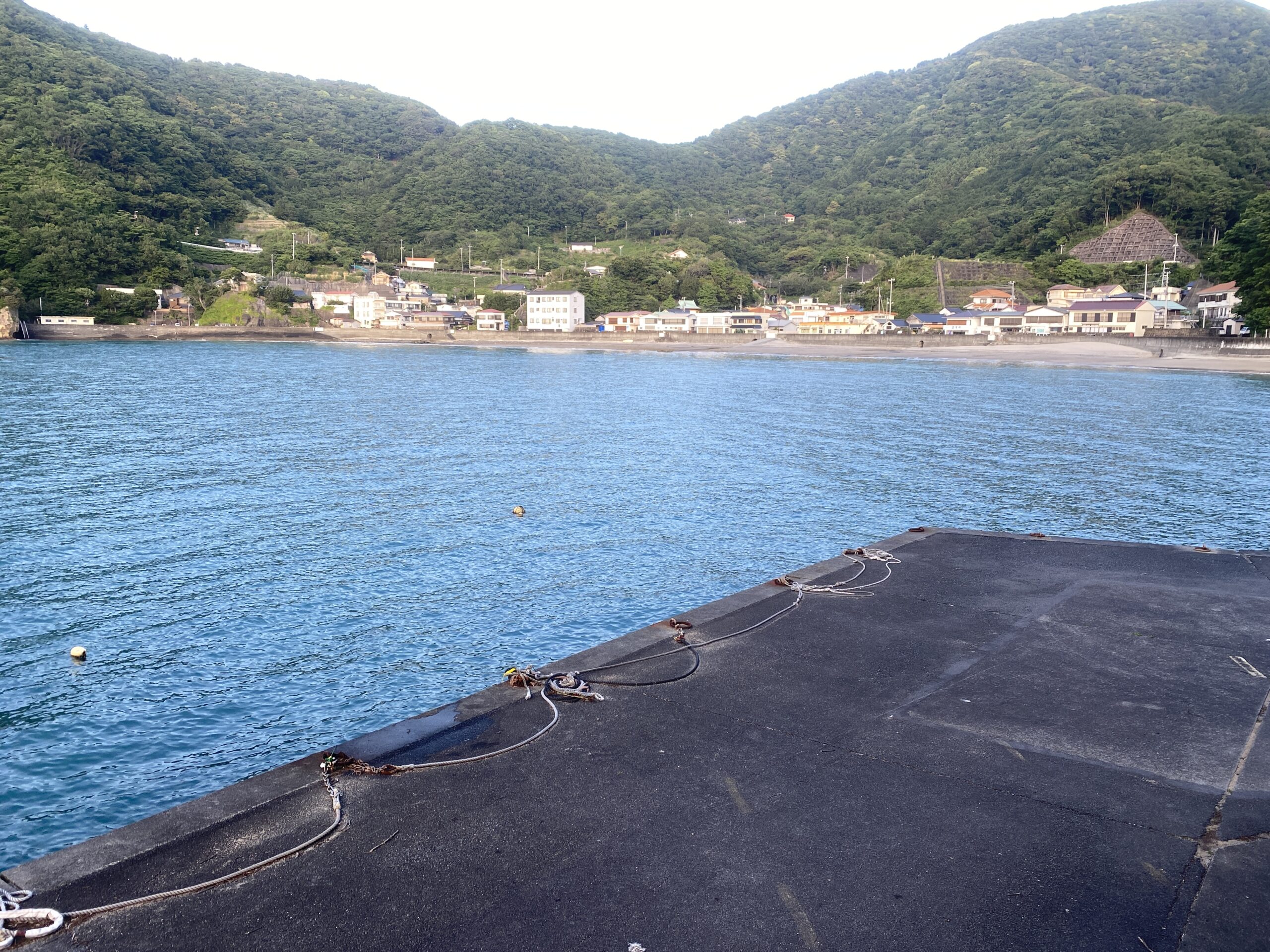 岩地漁港　釣り