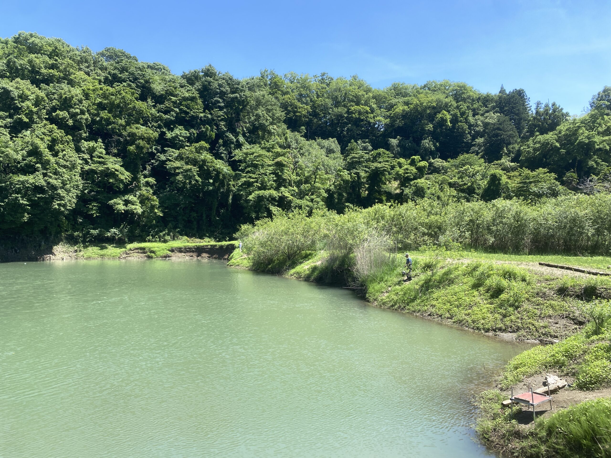 津久井湖　バス釣り　旧道志川周辺