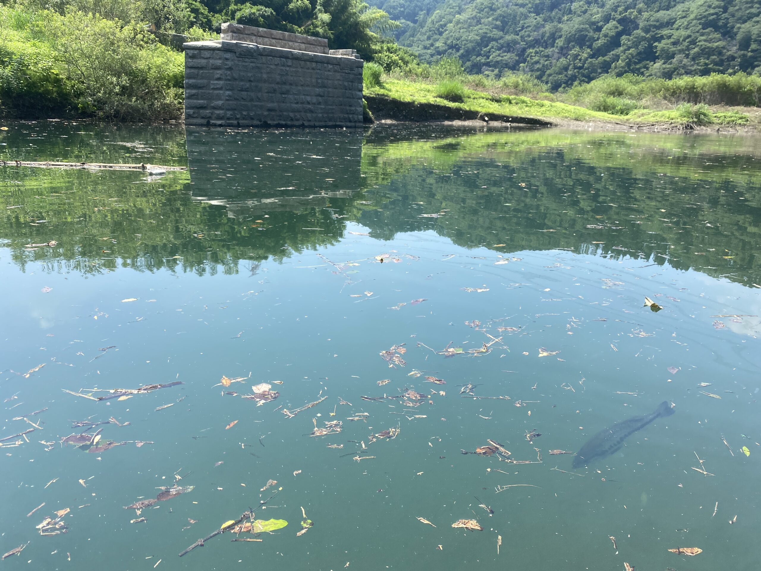 津久井湖　バス釣り　旧道志川周辺