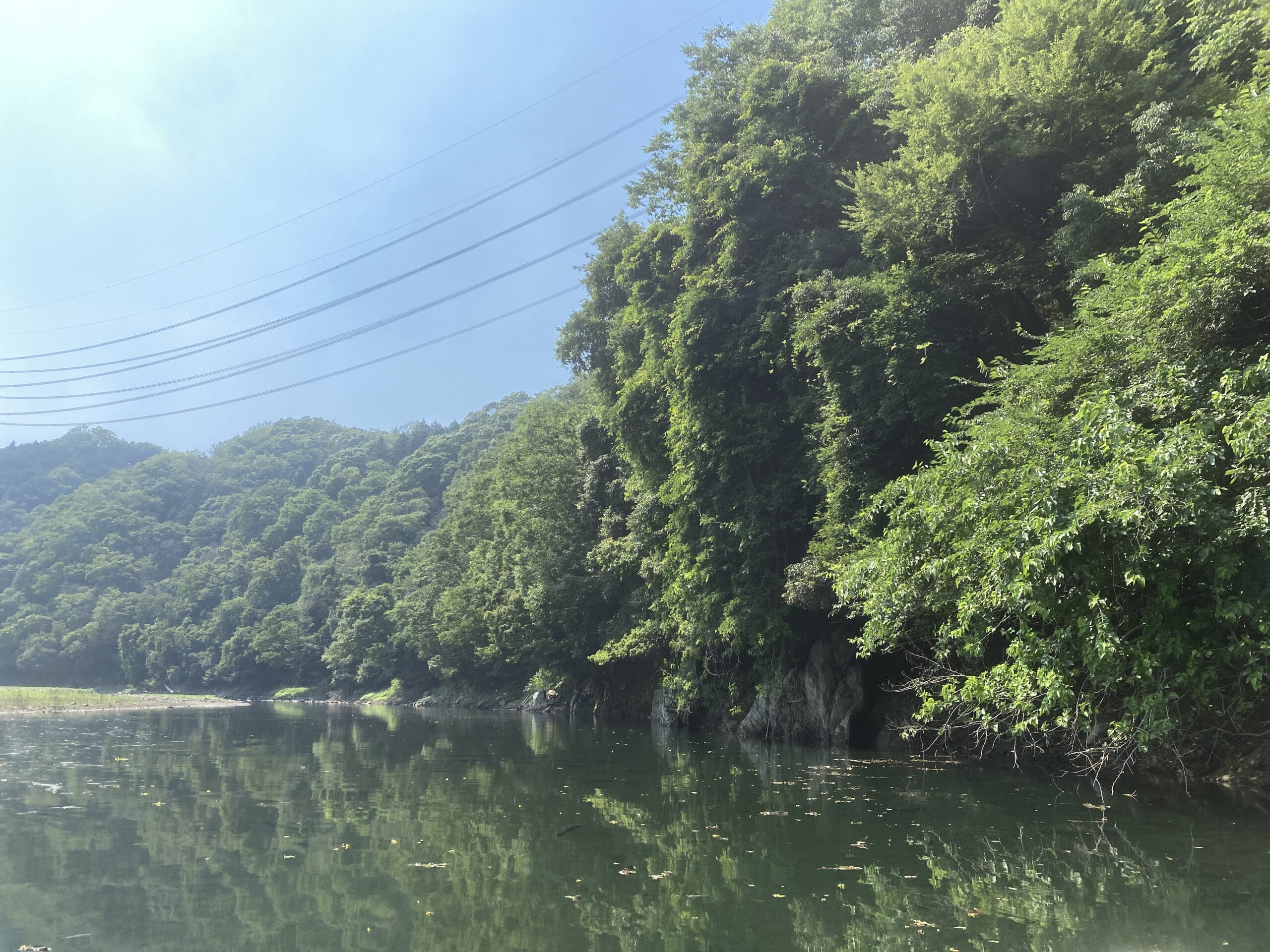 津久井湖　バス釣り　旧道志川周辺