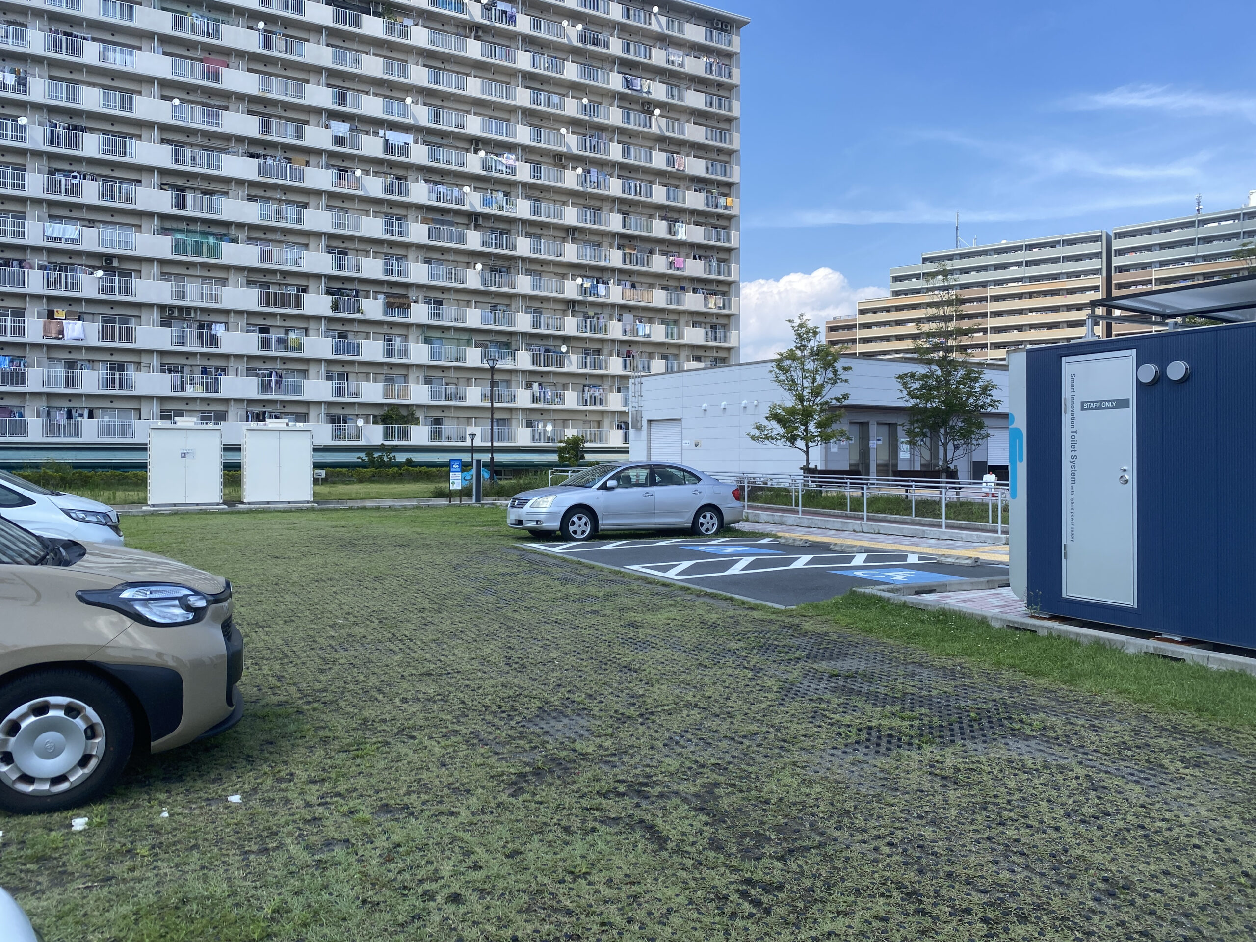 テナガエビ釣り　旧江戸川　前野公園