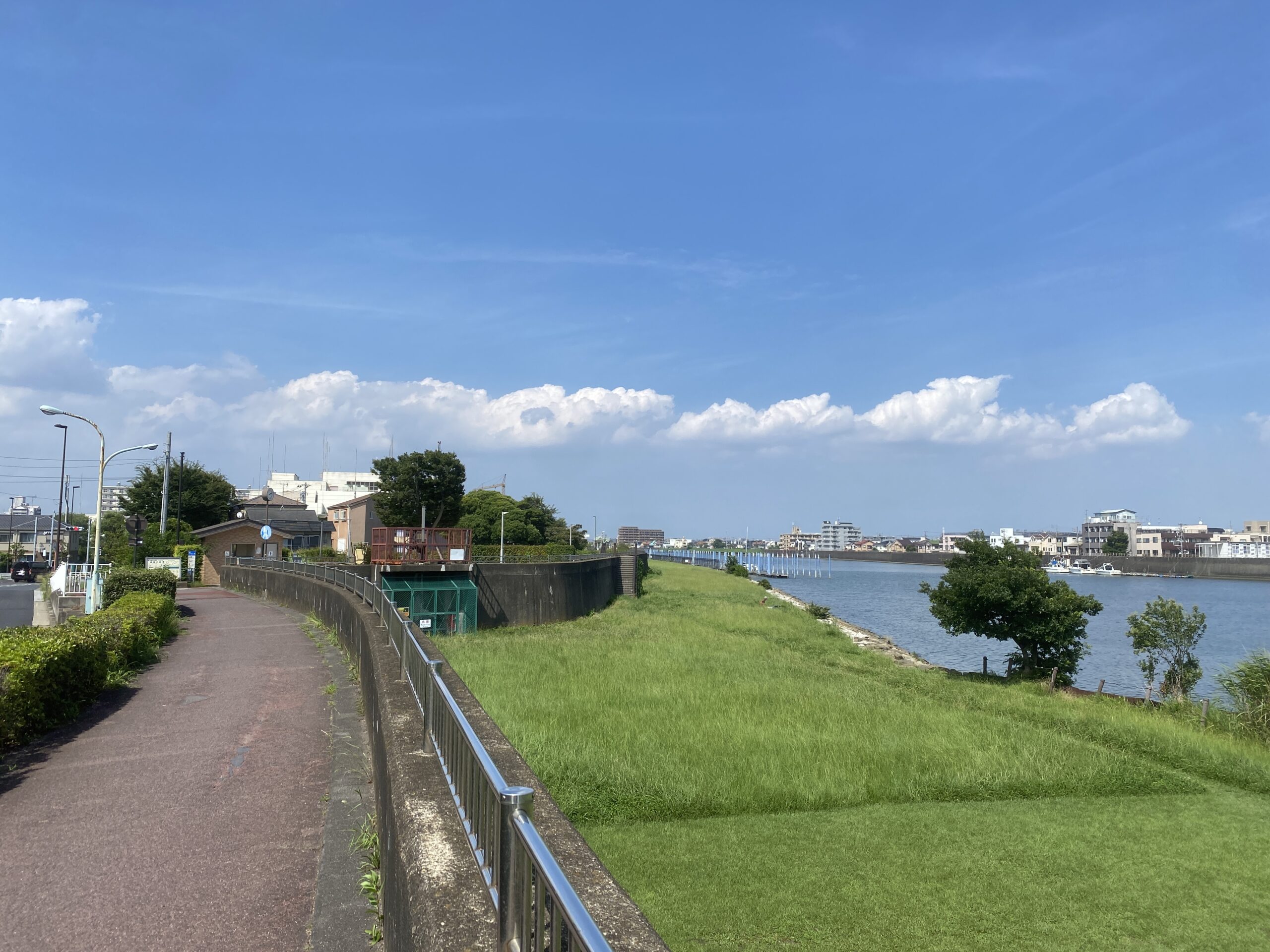 テナガエビ釣り　旧江戸川　前野公園