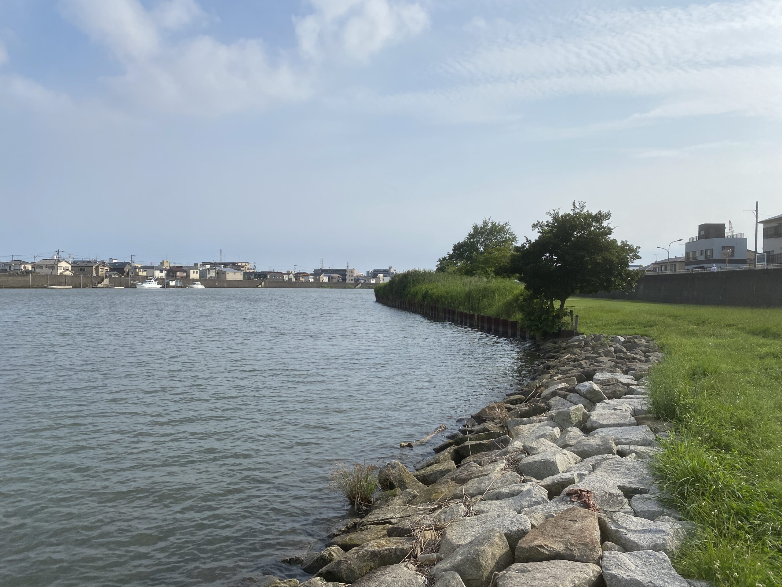 テナガエビ釣り　旧江戸川　前野公園