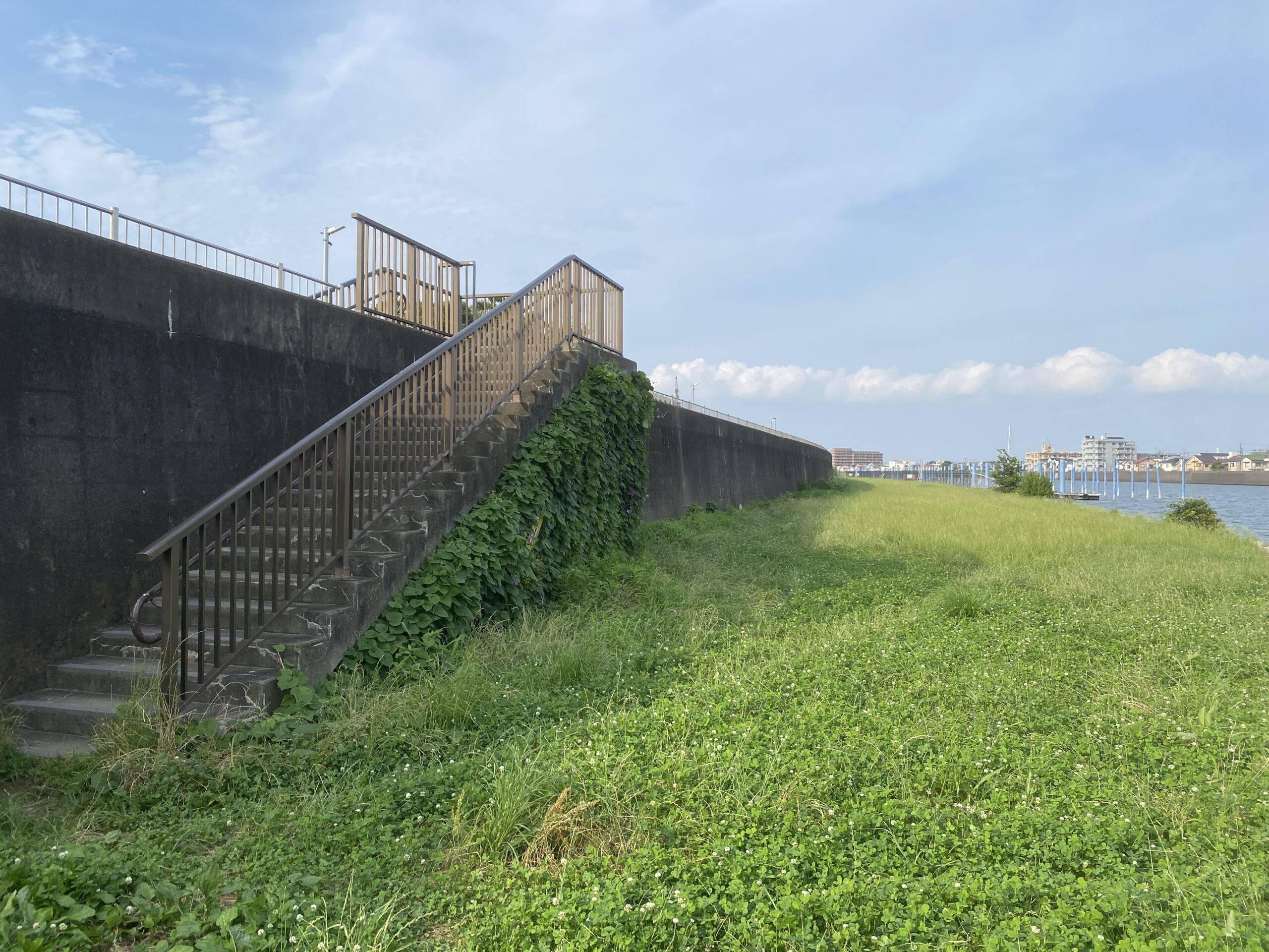テナガエビ釣り　旧江戸川　前野公園