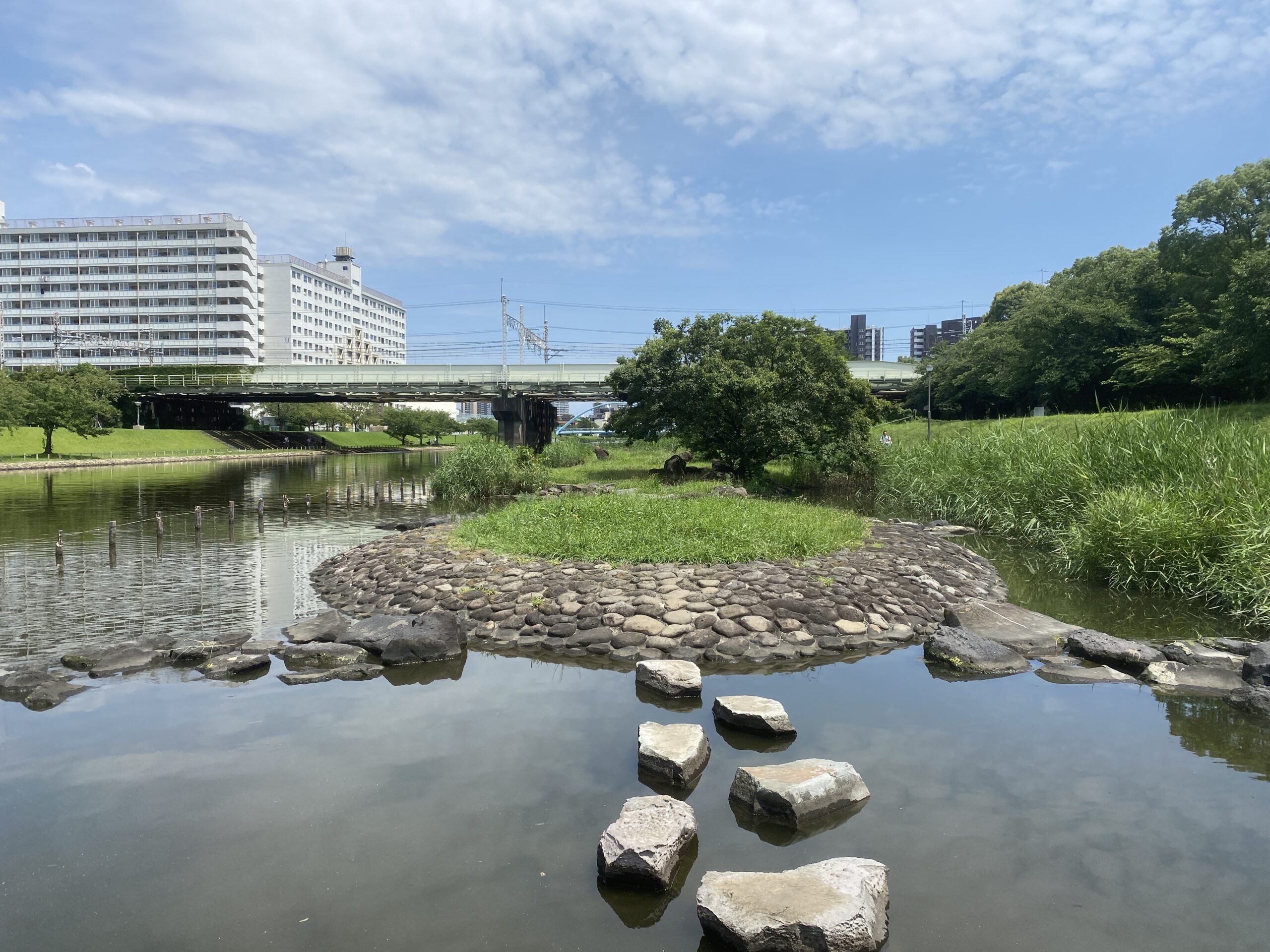 亀戸中央公園　釣り