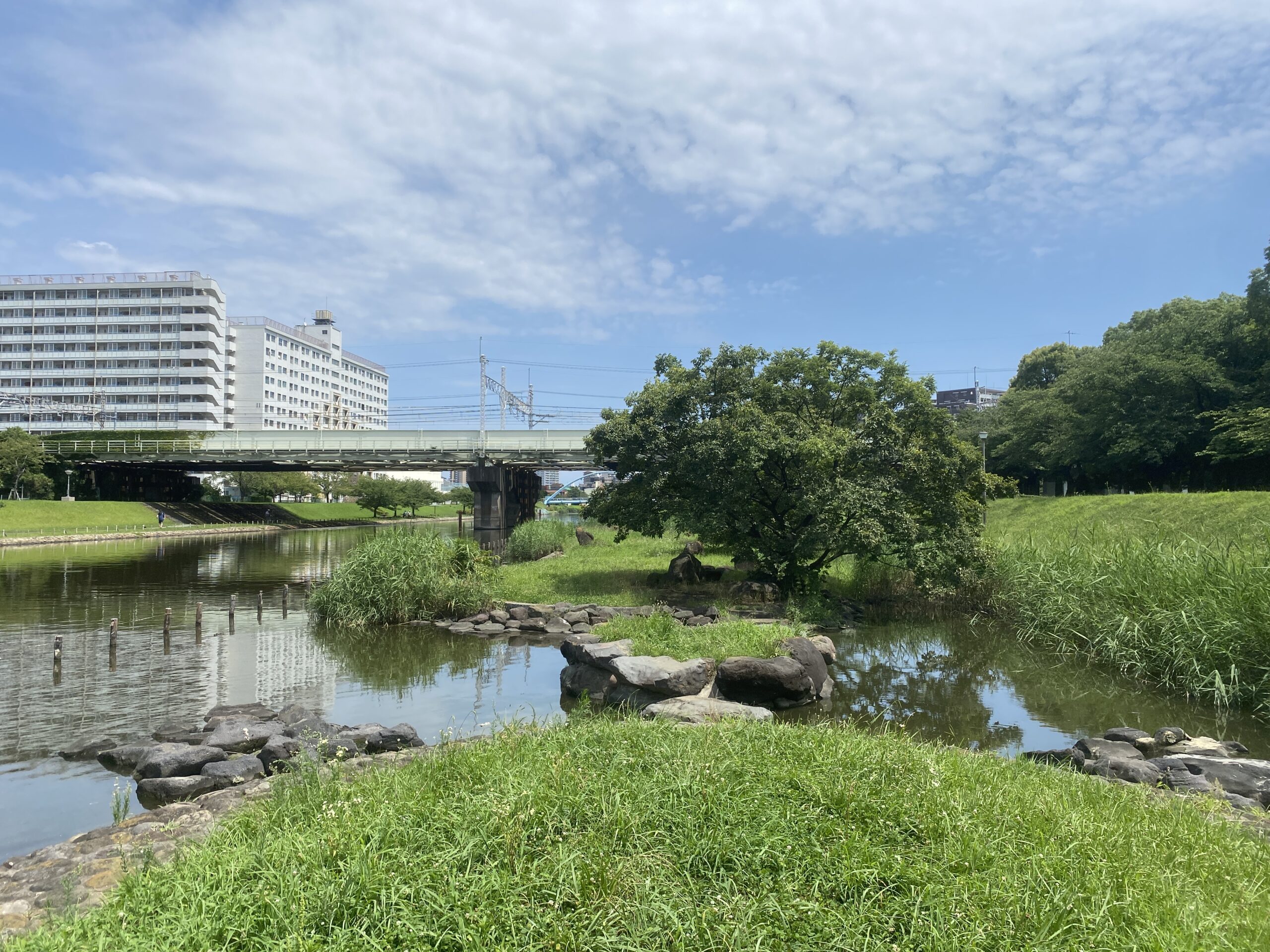 亀戸中央公園　釣り