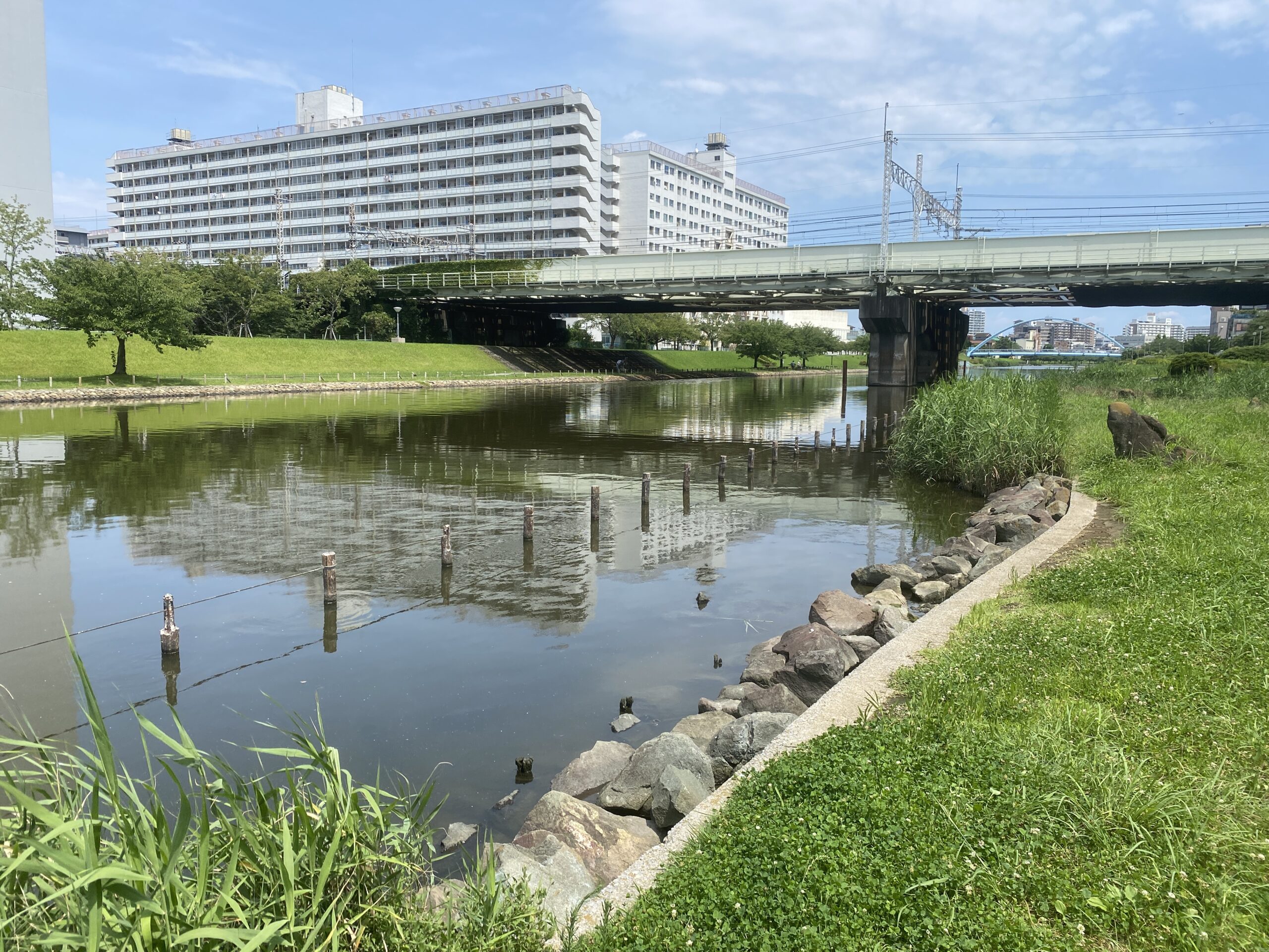 亀戸中央公園　釣り