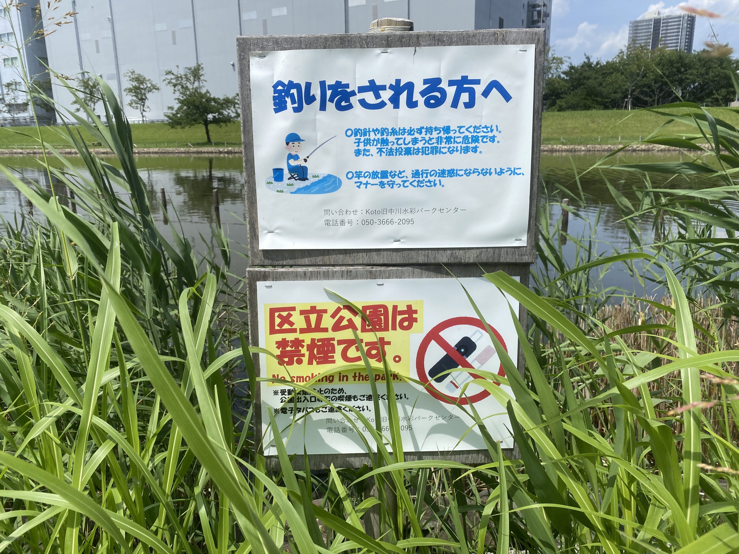 亀戸中央公園　釣り