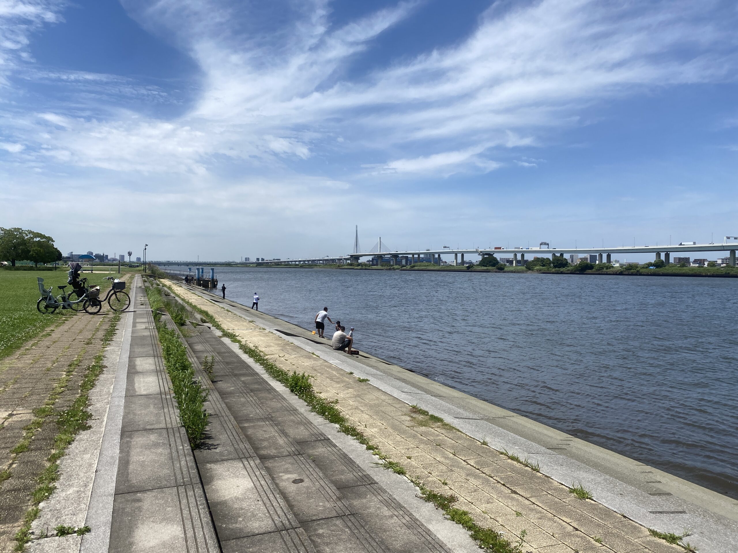 平井運動公園 釣り