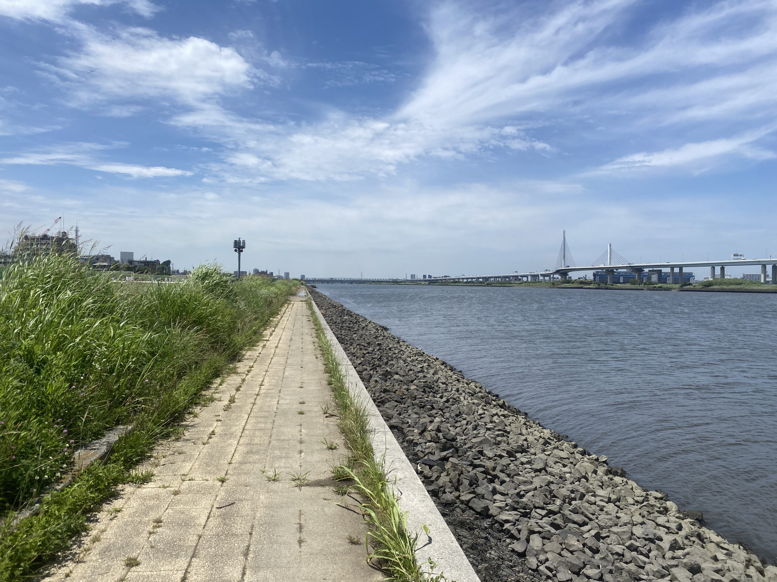平井運動公園 釣り