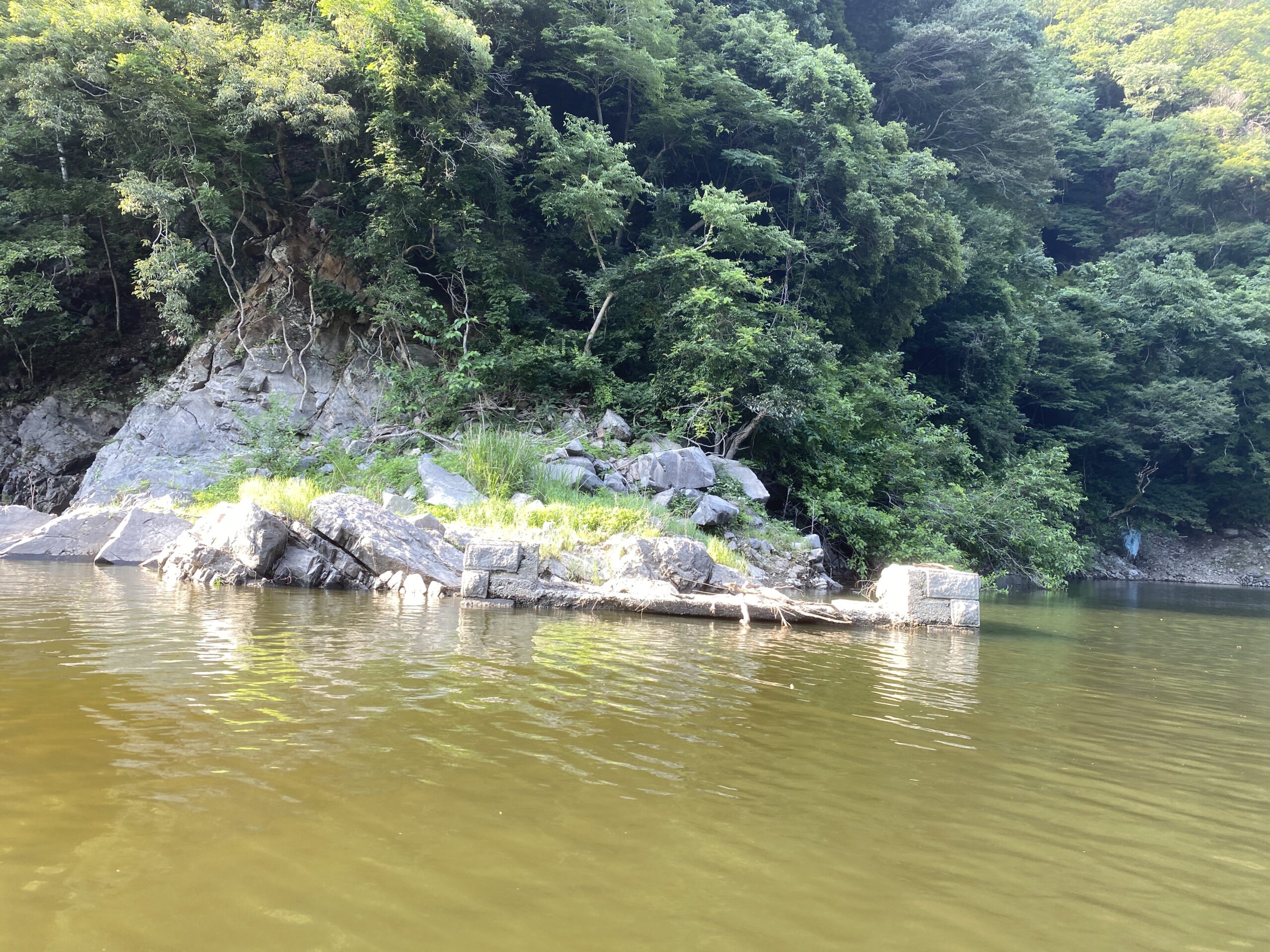 津久井湖 バス釣り 沼本エアレーション