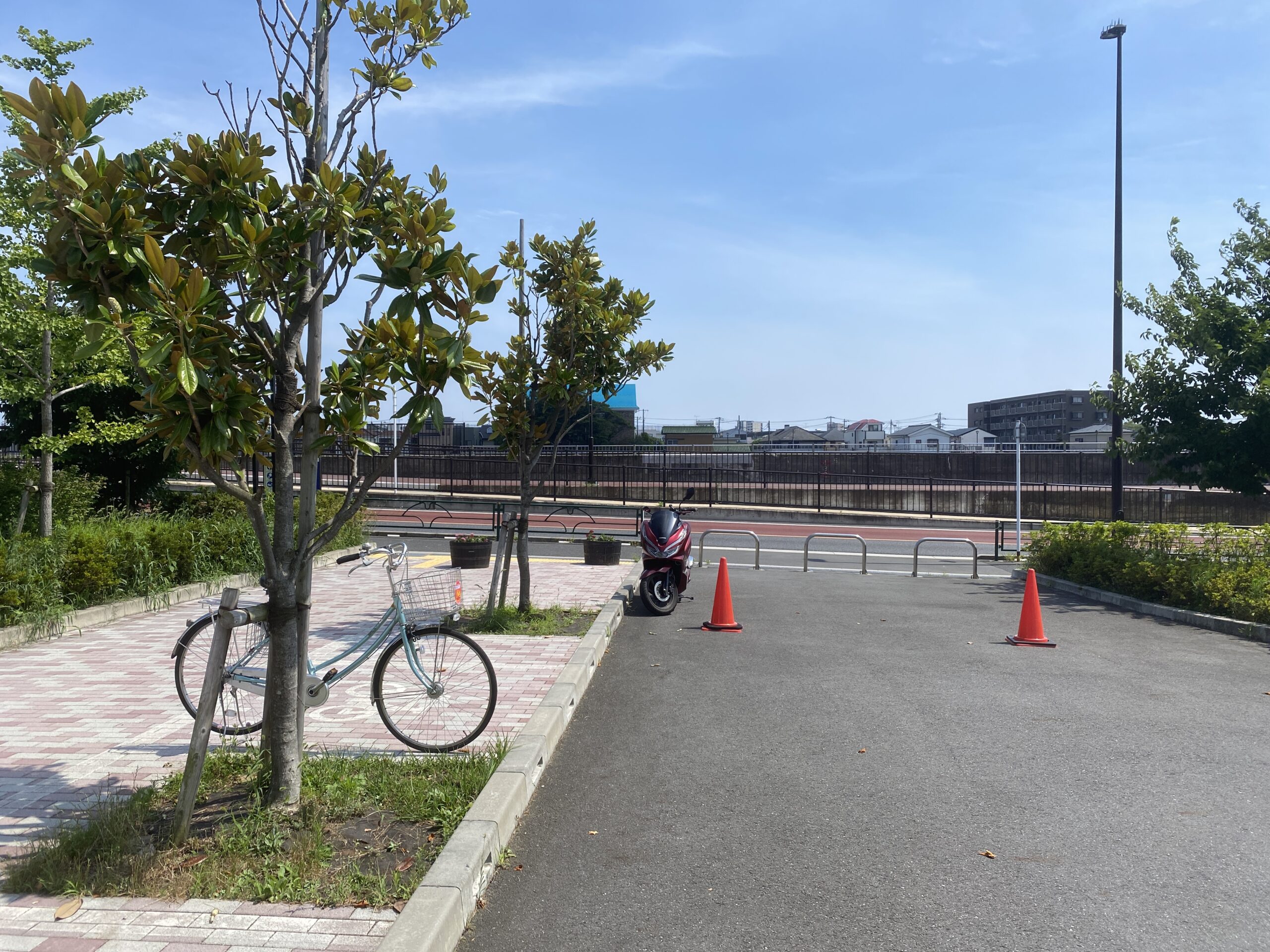 旧江戸川 釣り 東部交通公園前護岸 駐車場
