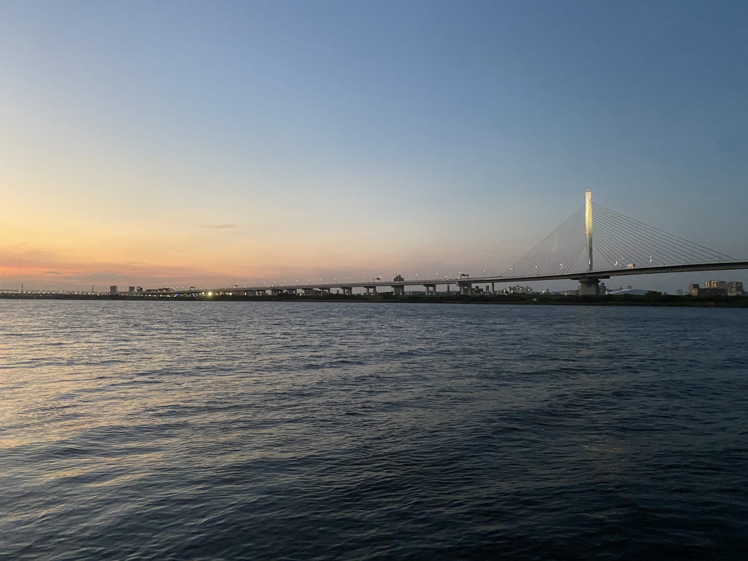 平井運動公園 釣り