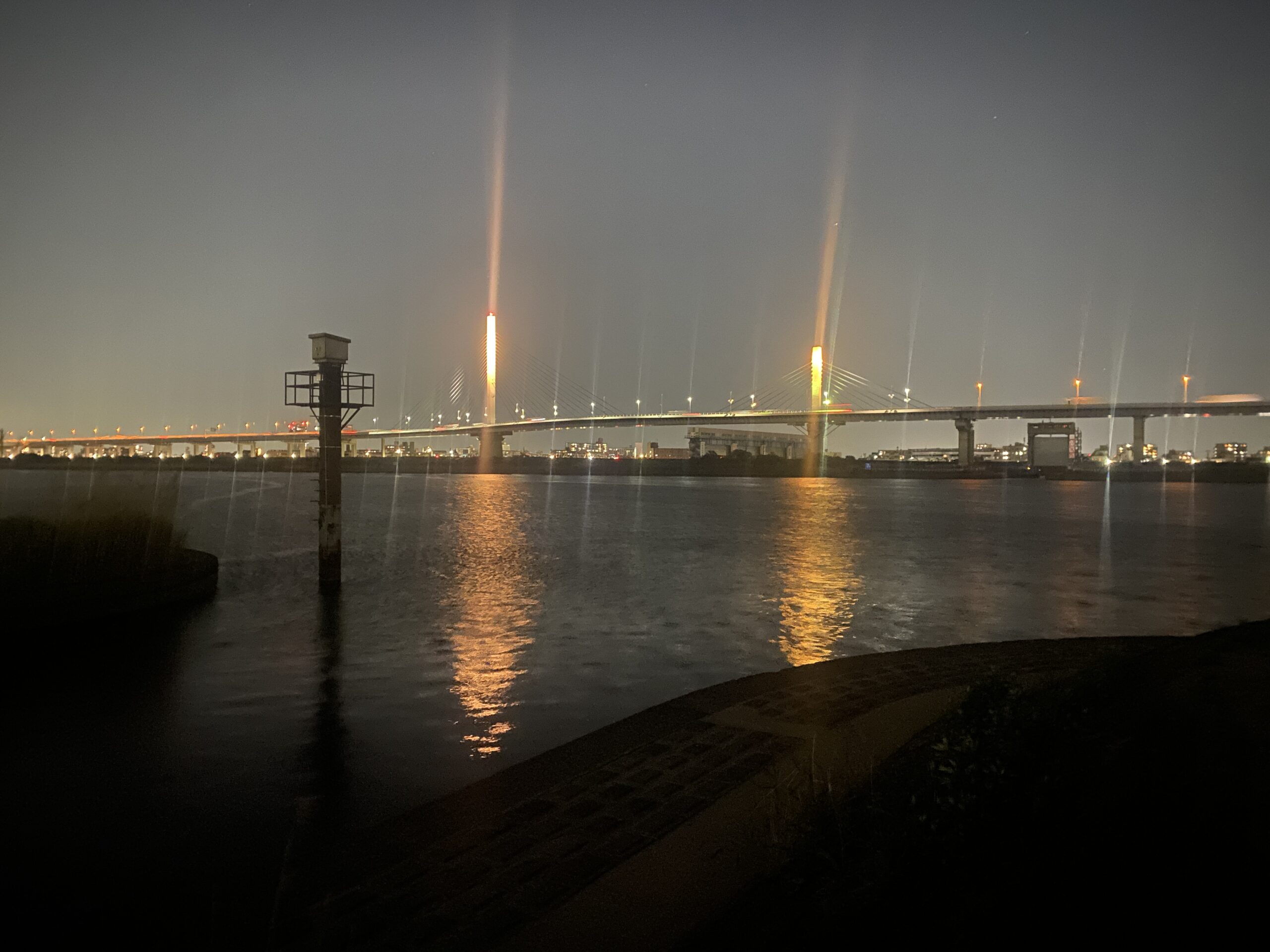 平井運動公園 釣り