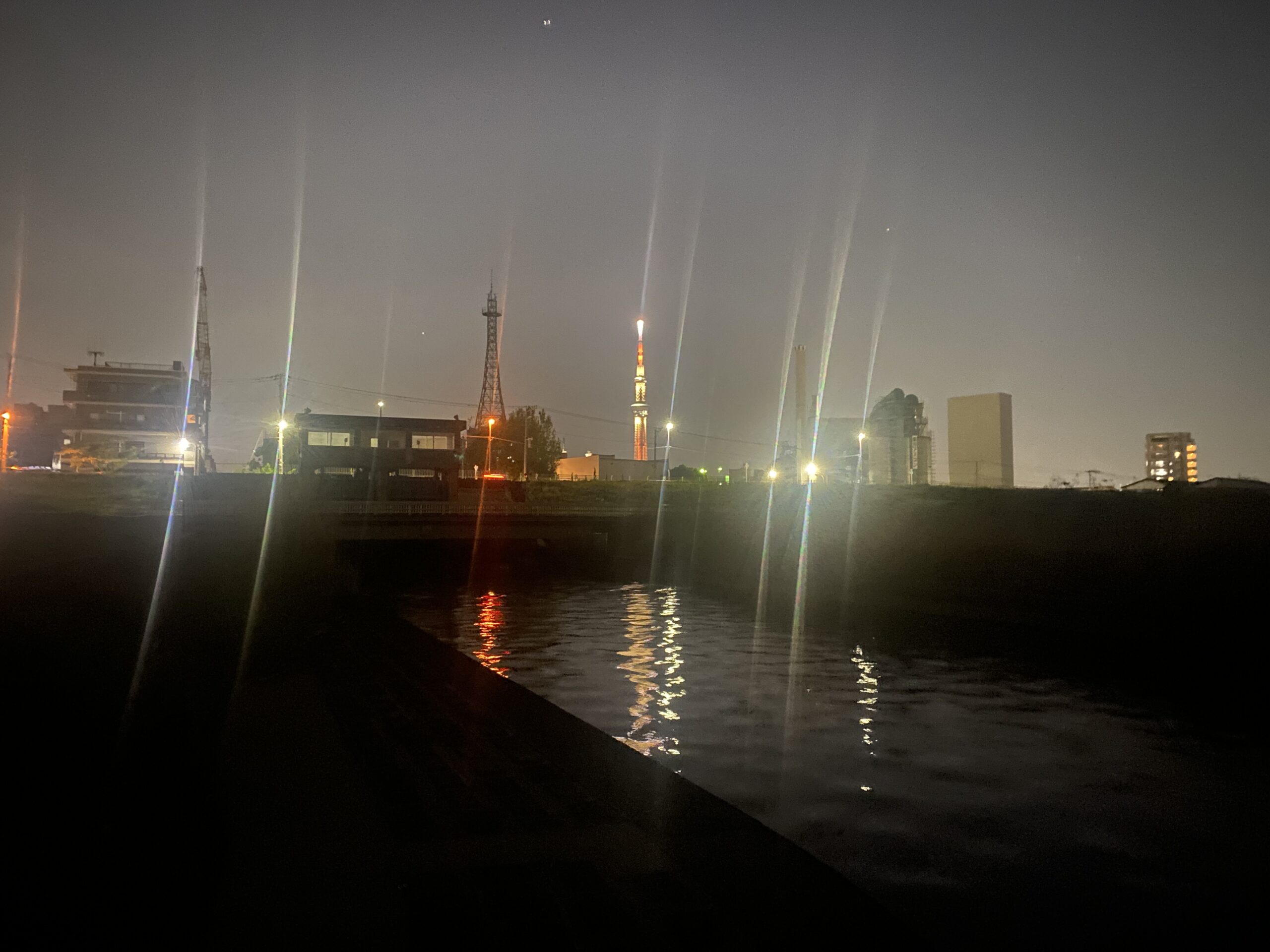 平井運動公園 釣り