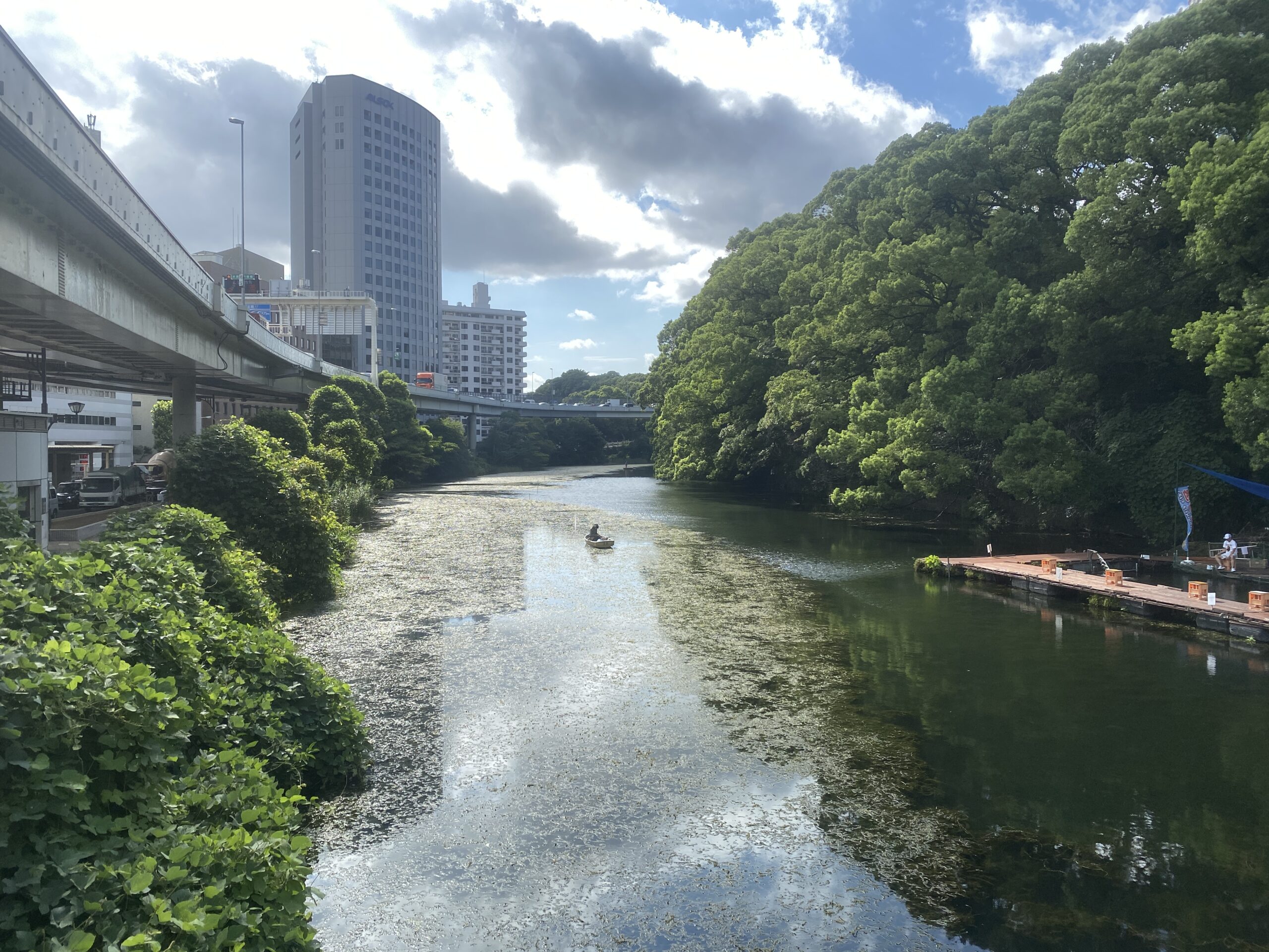 バス釣り　弁天堀