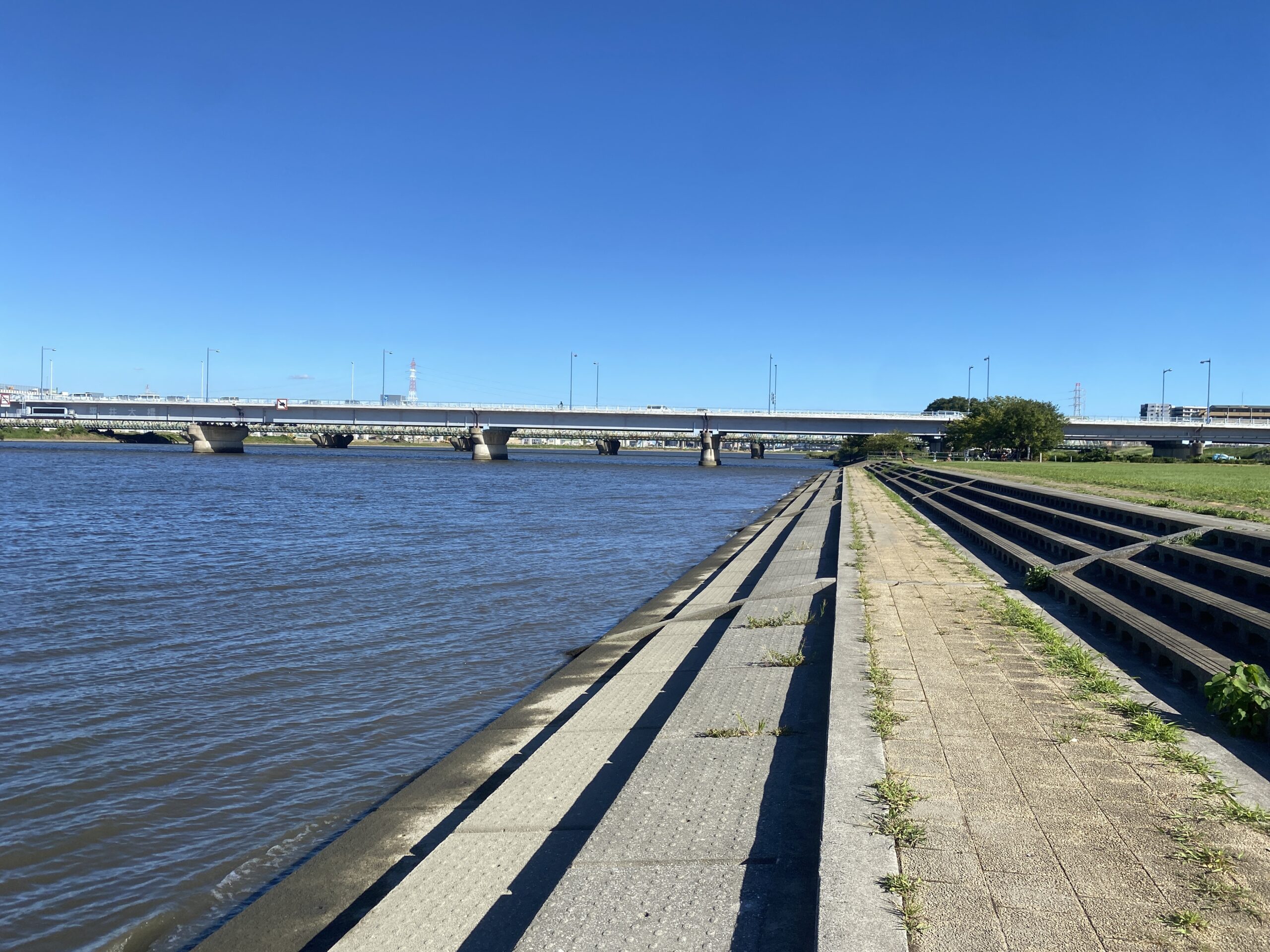 平井運動公園 釣り