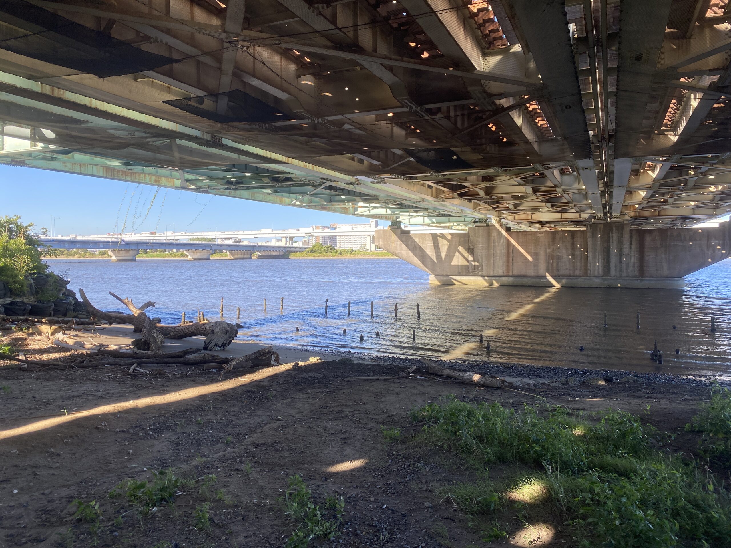 平井運動公園 釣り