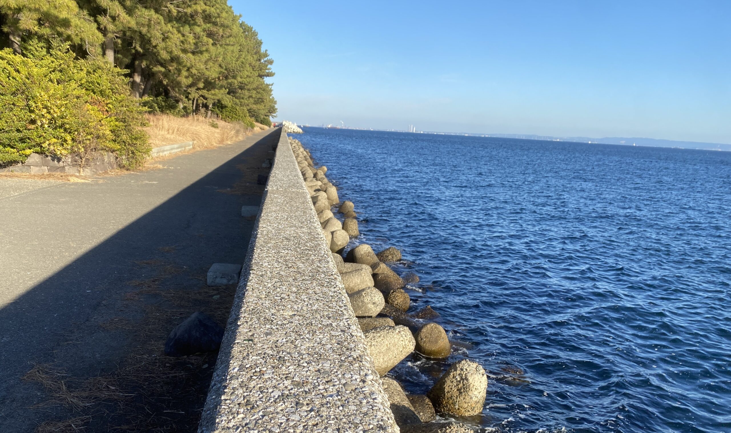 八景島対岸 ヘリポート横 釣り