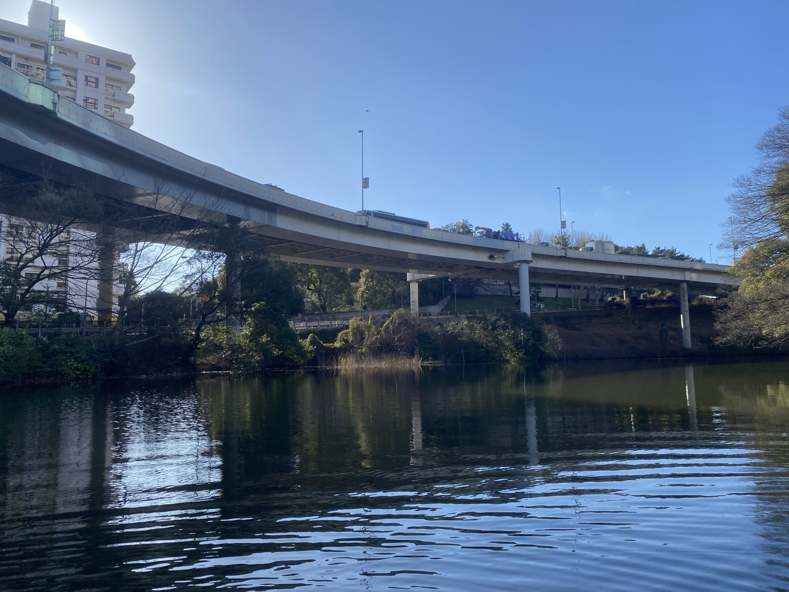 バス釣り　弁天堀