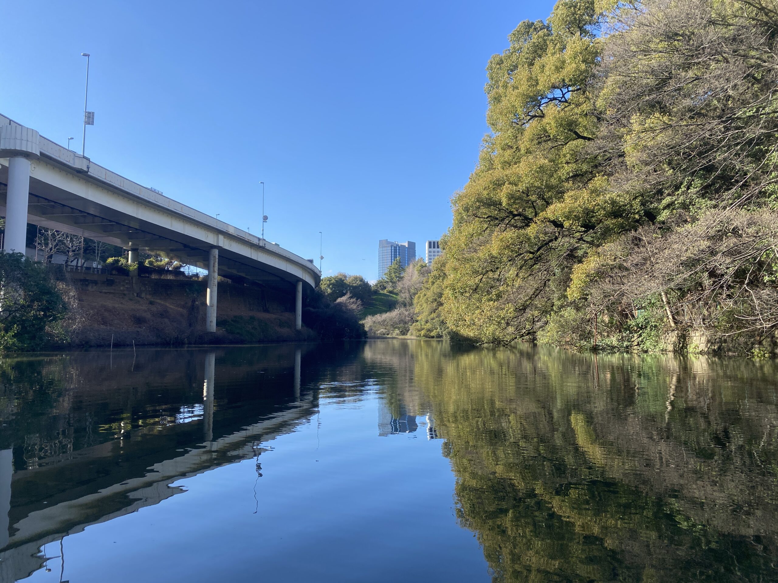 バス釣り　弁慶堀
