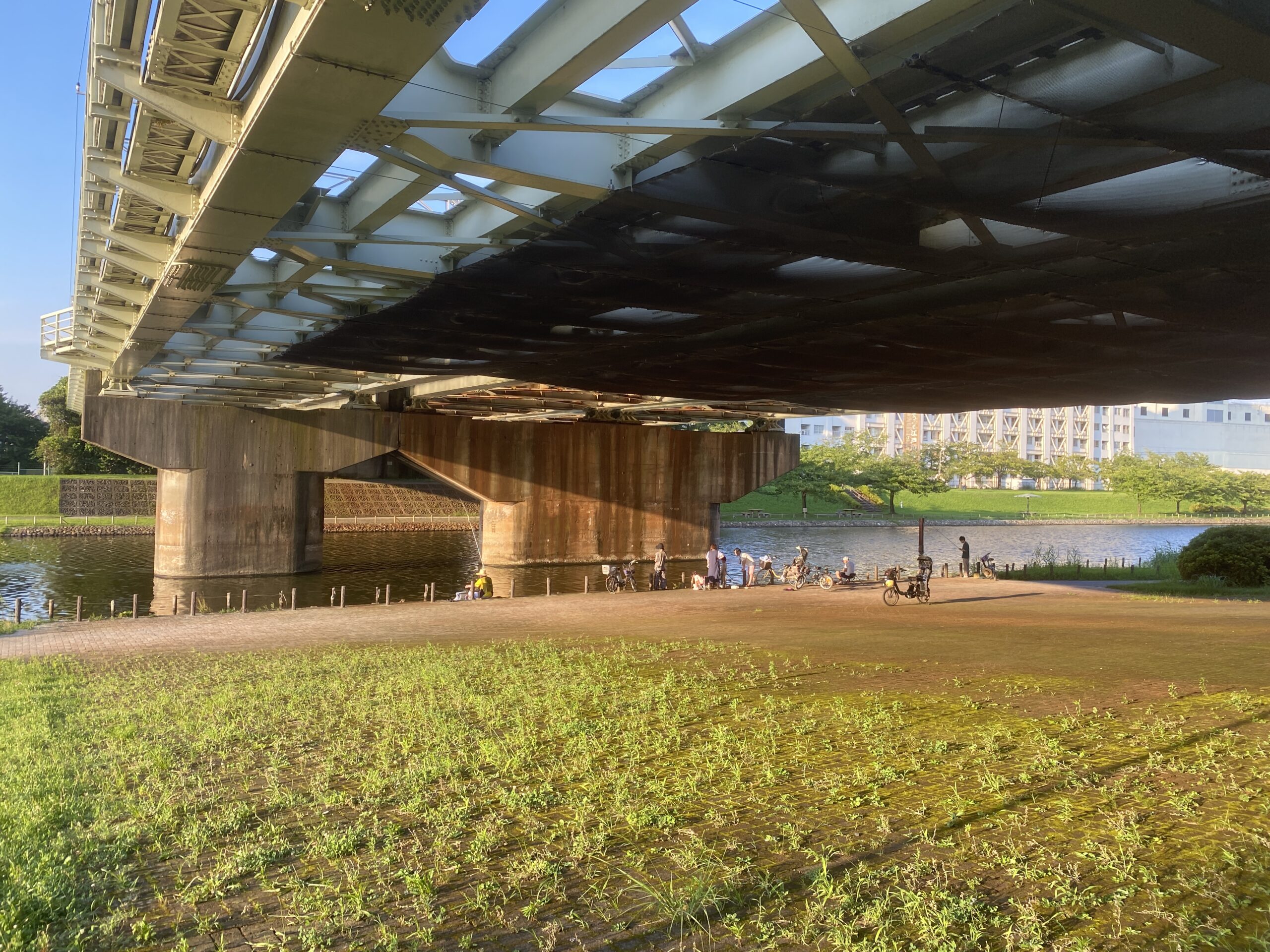 亀戸中央公園　釣り