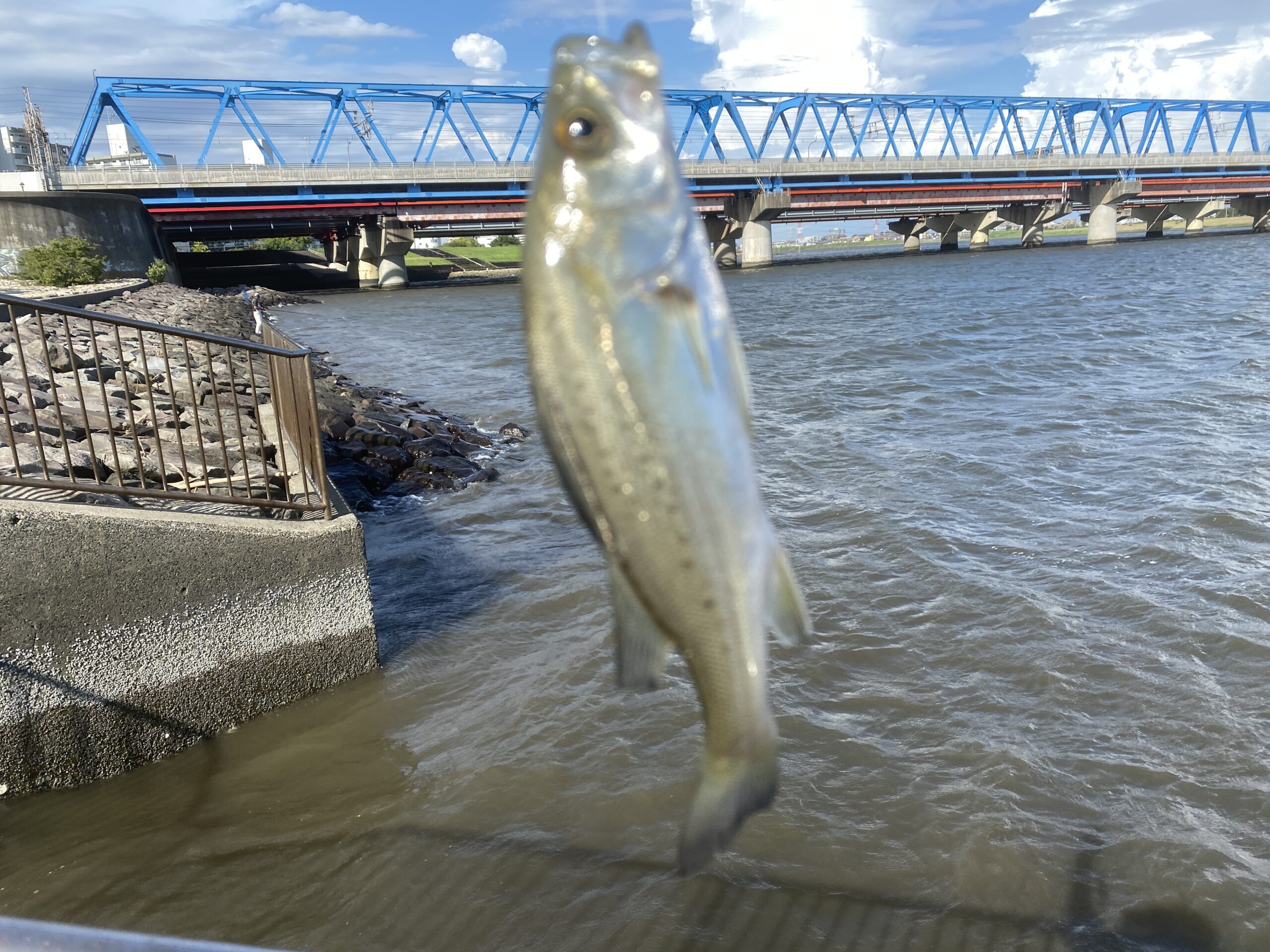 旧江戸川河口　葛西臨海公園東橋休憩所　釣り