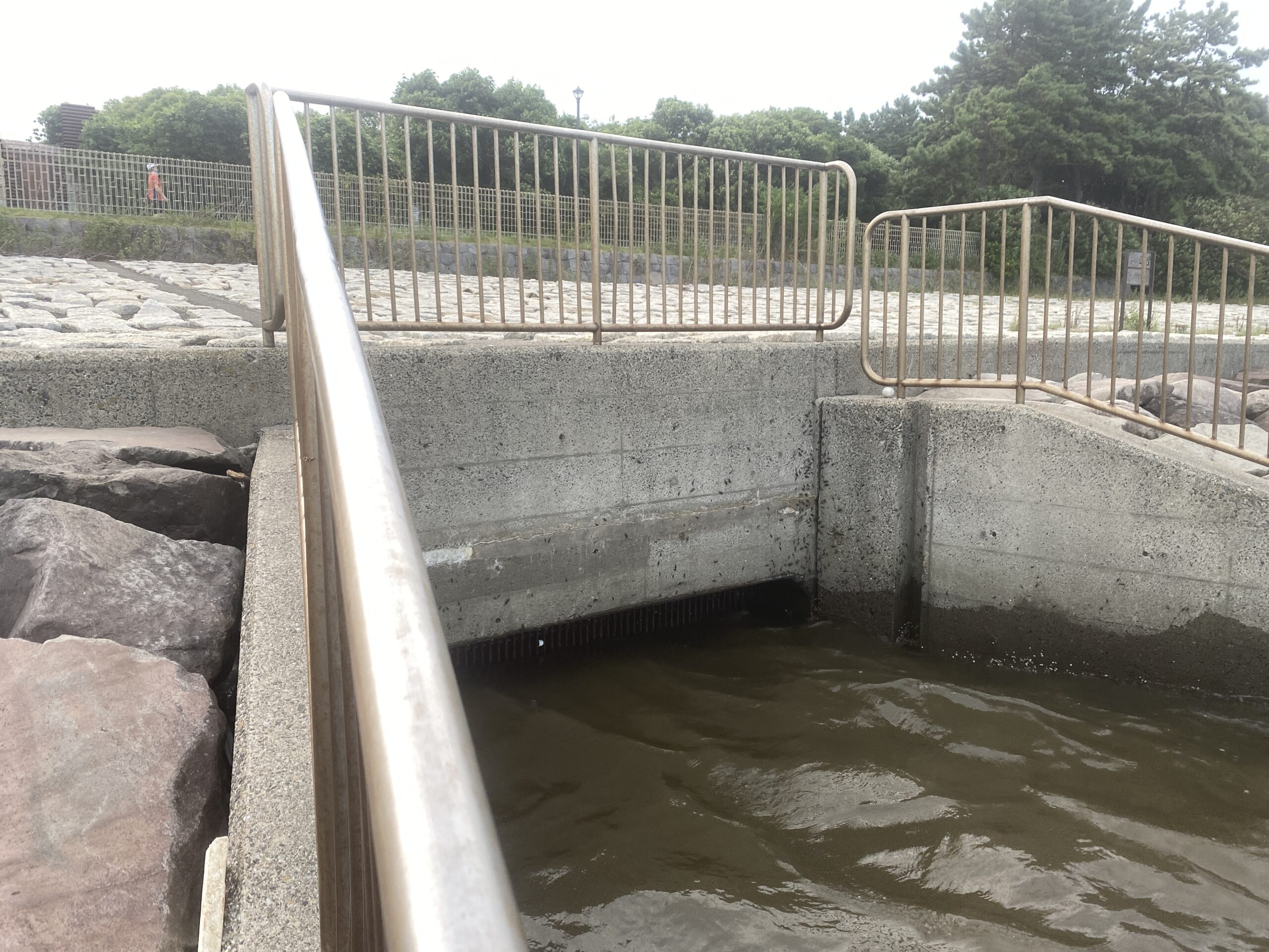 旧江戸川河口　葛西臨海公園東橋休憩所　釣り