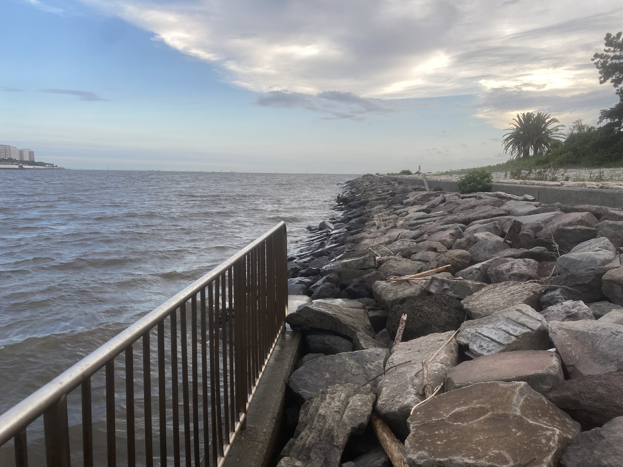 旧江戸川河口　葛西臨海公園東橋休憩所　釣り