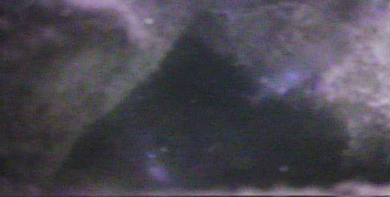 亀戸中央公園　釣り　水中映像