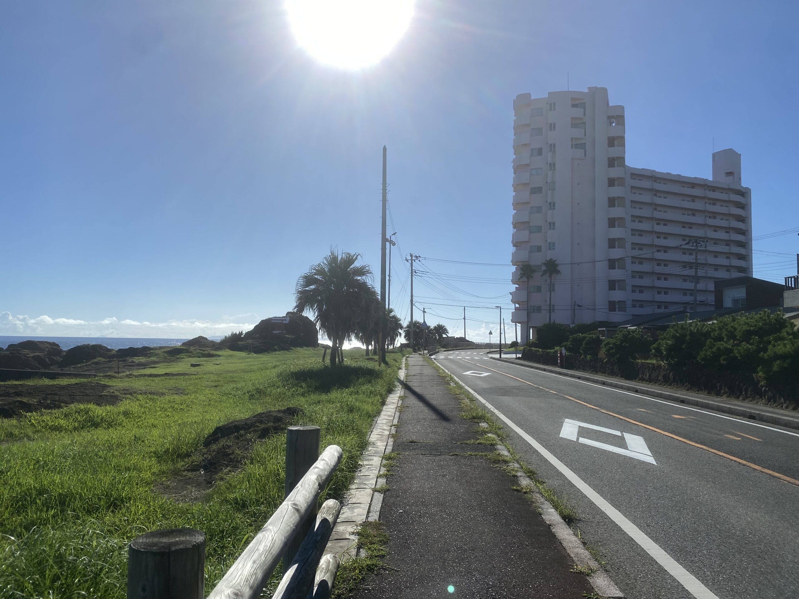 南房総　野島崎　渚弁財天下の磯