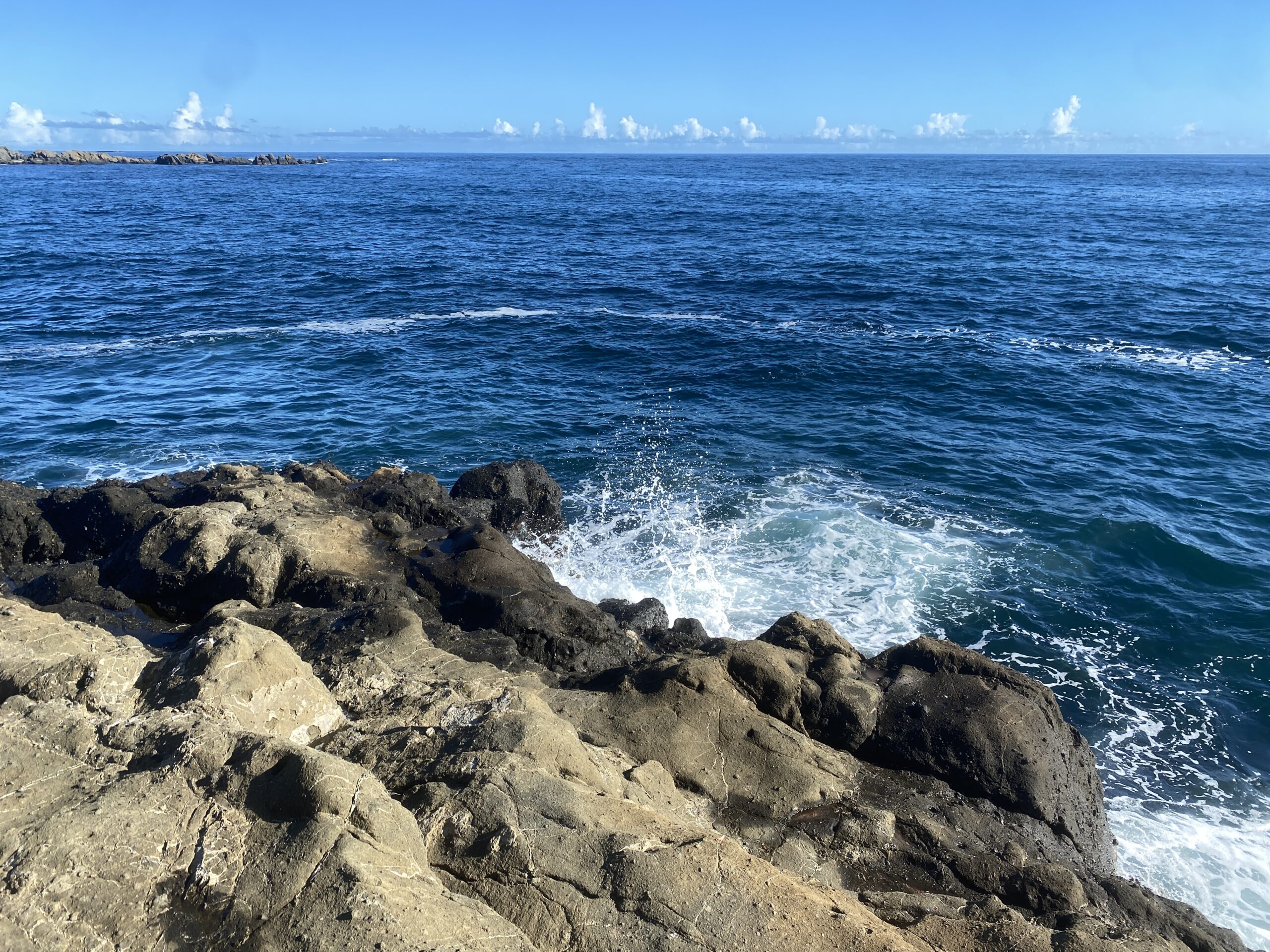 南房総　野島崎　渚弁財天下の磯