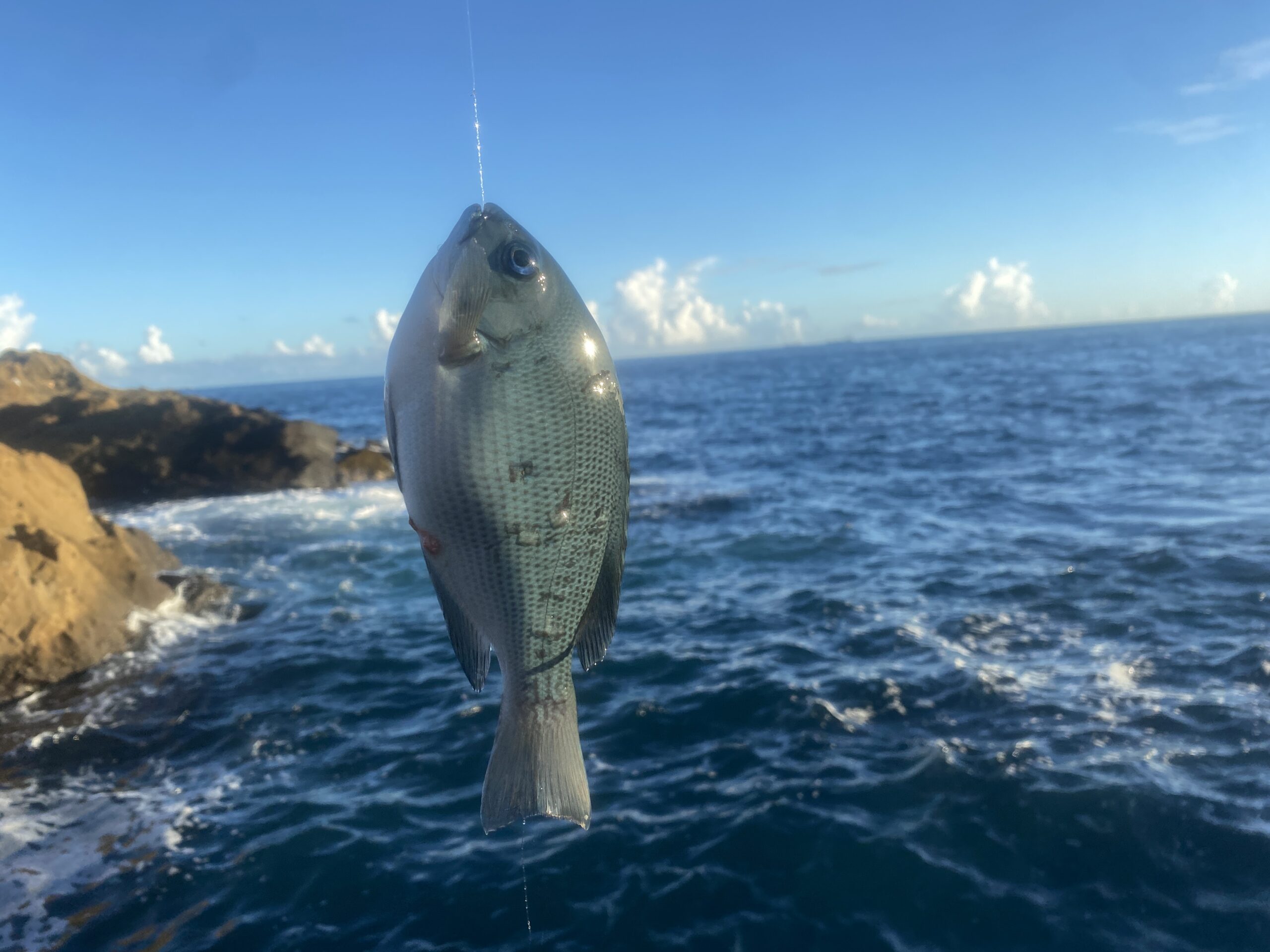 南房総　野島崎　渚弁財天下の磯
