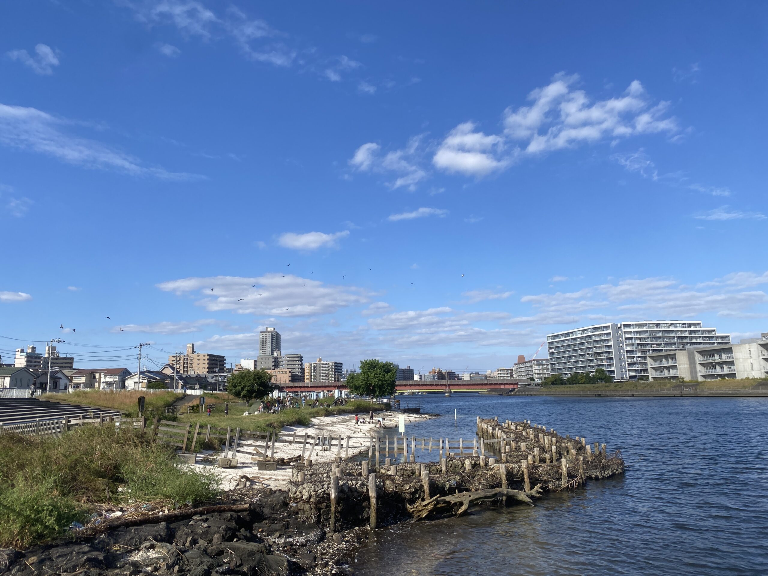 鶴見川河口　国道駅前　釣り　レトロ駅舎