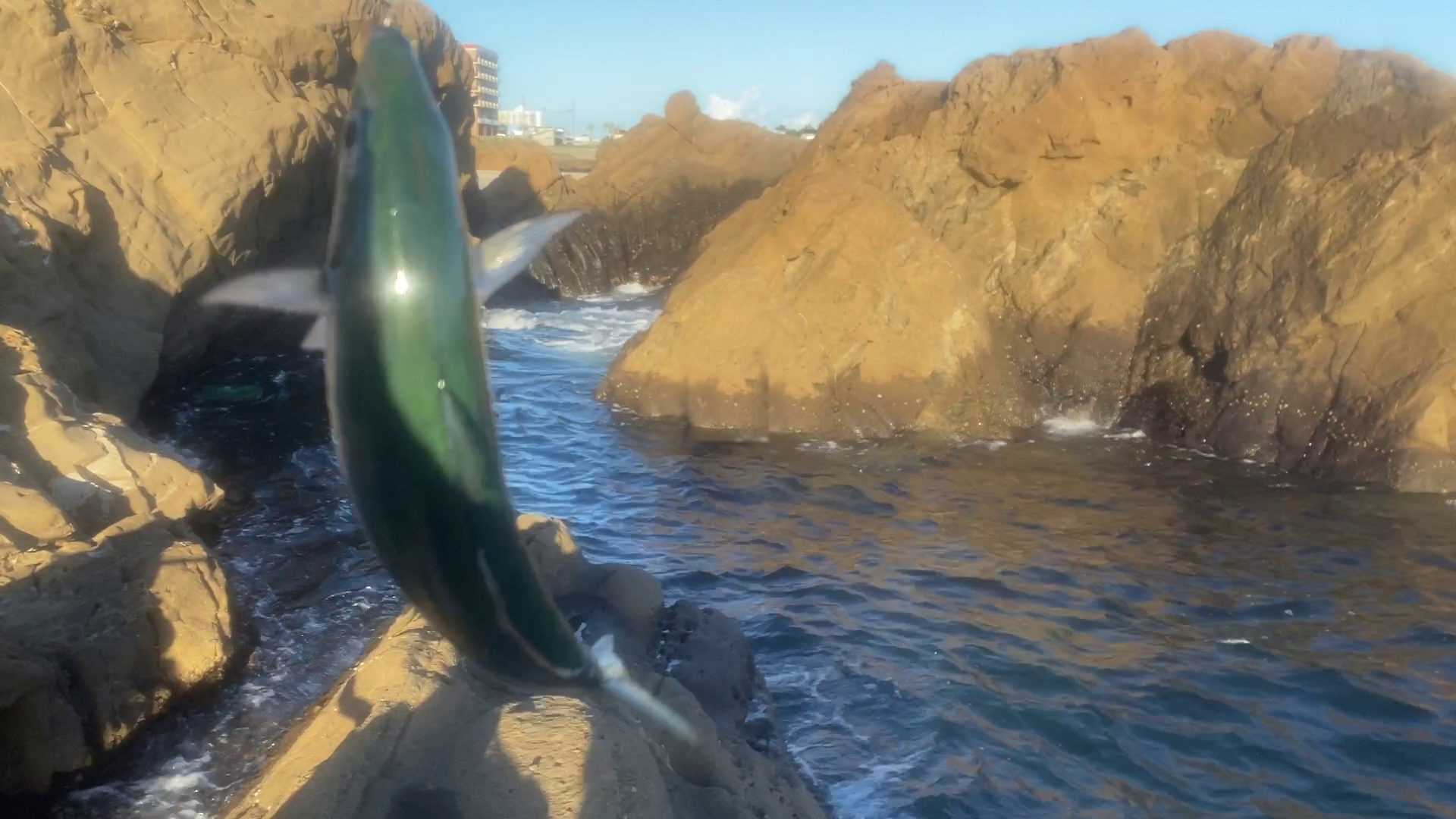 南房総　野島崎　渚弁財天下の磯