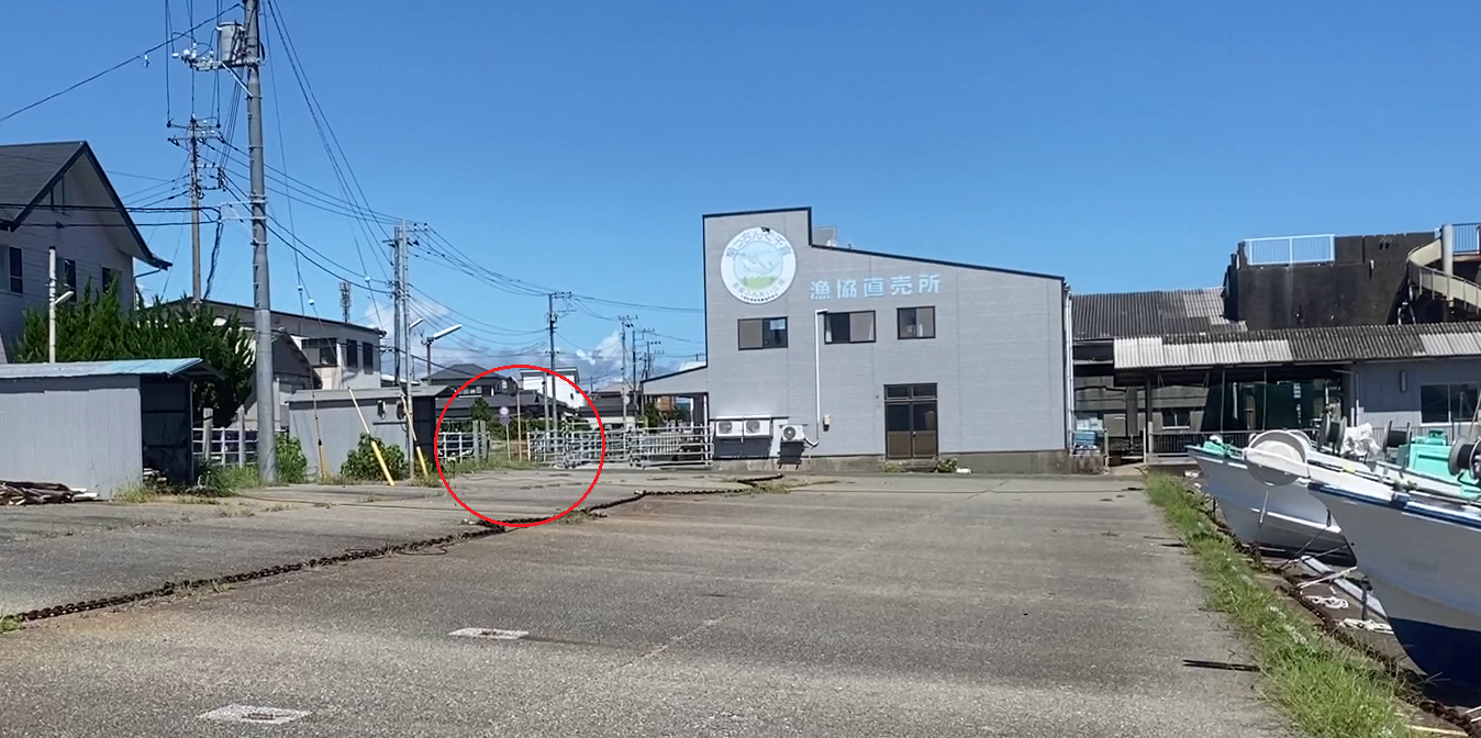 川口漁港（千葉）　釣り