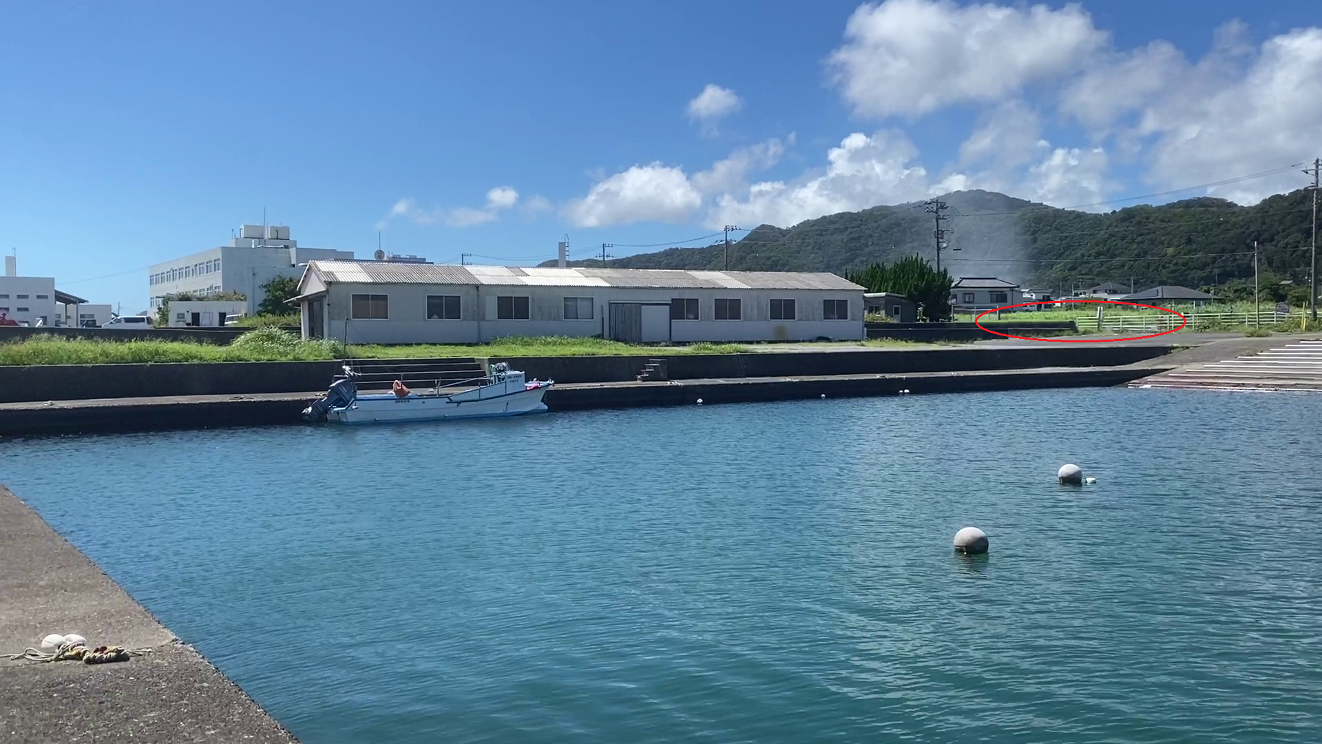 川口漁港（千葉）　釣り