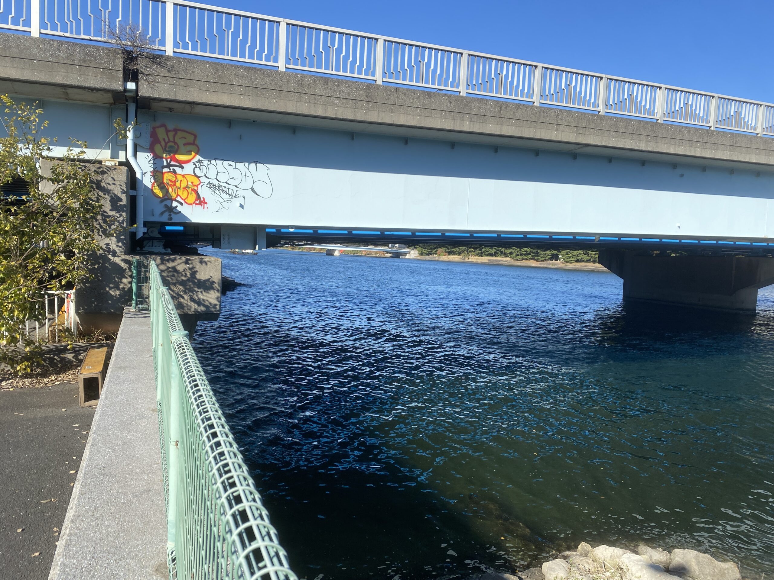 おおたキャナルサイドウォーク 釣り