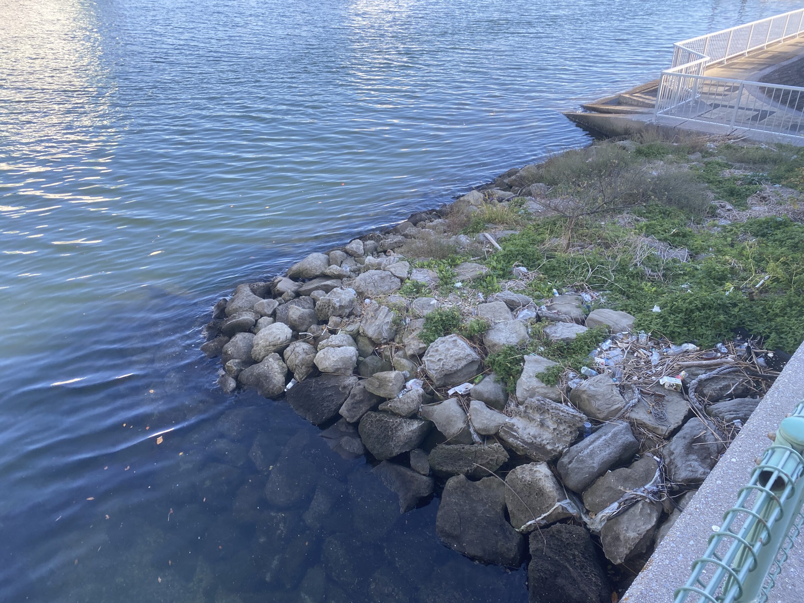 おおたキャナルサイドウォーク 釣り