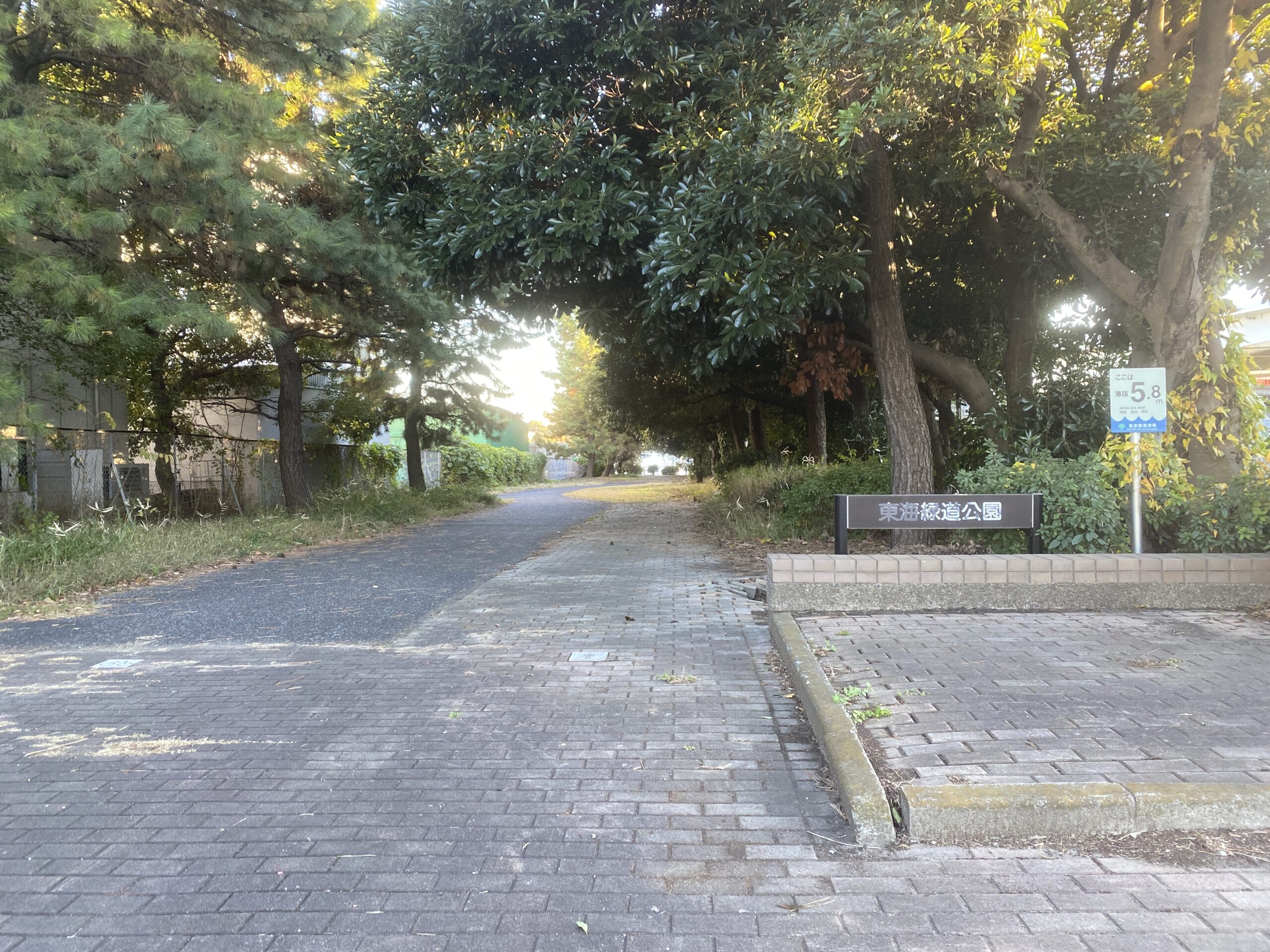 東海緑道公園　釣り
