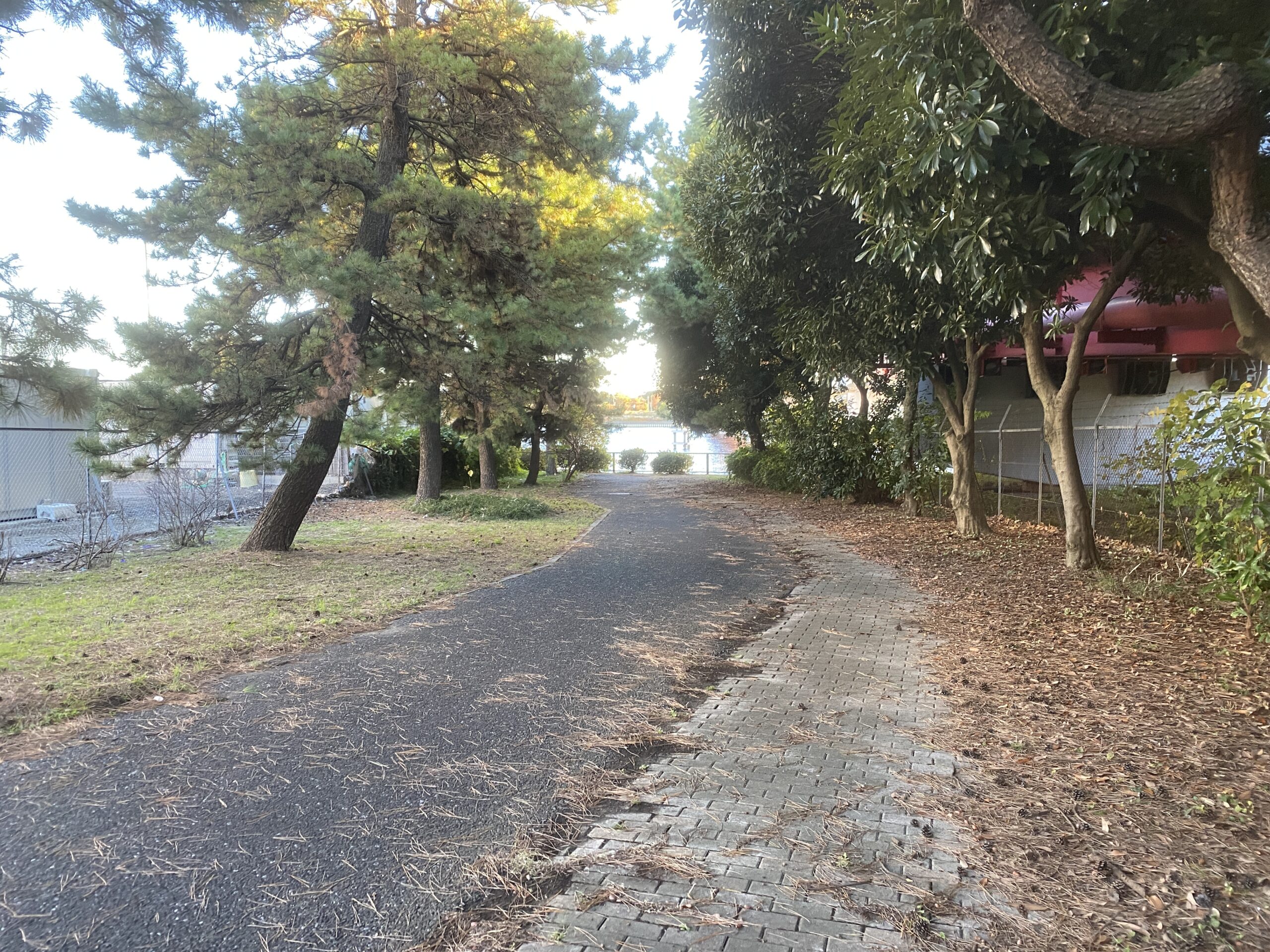 東海緑道公園　釣り