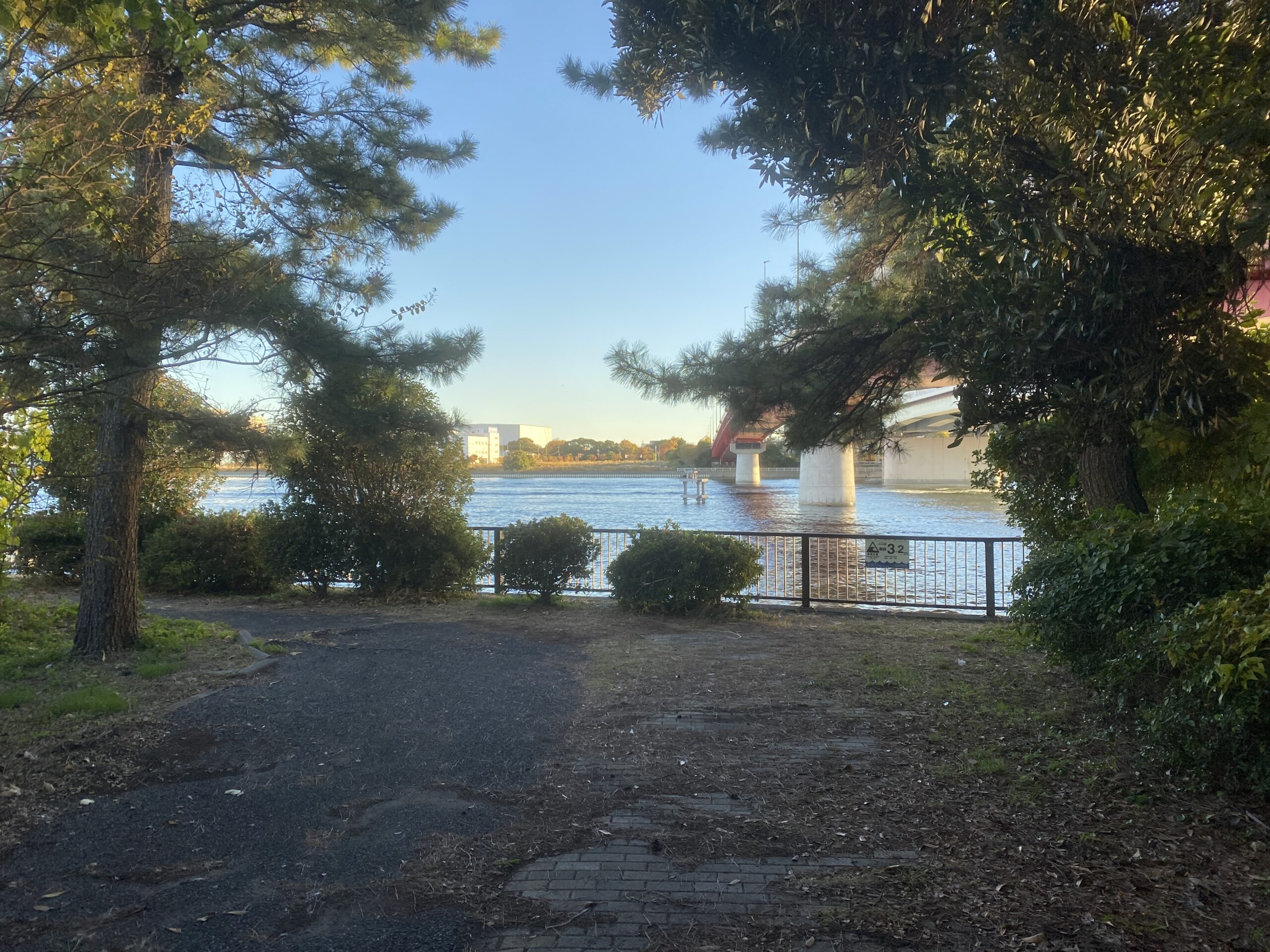 東海緑道公園　釣り