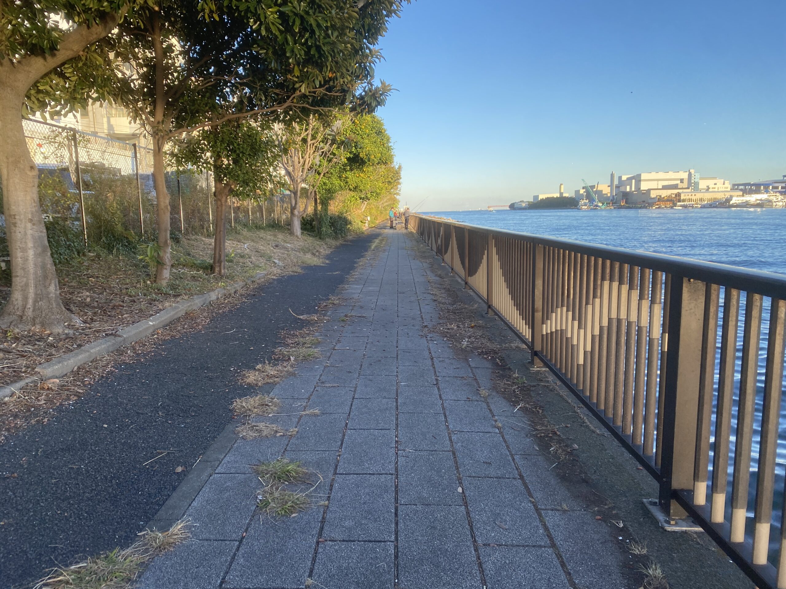 東海緑道公園　釣り