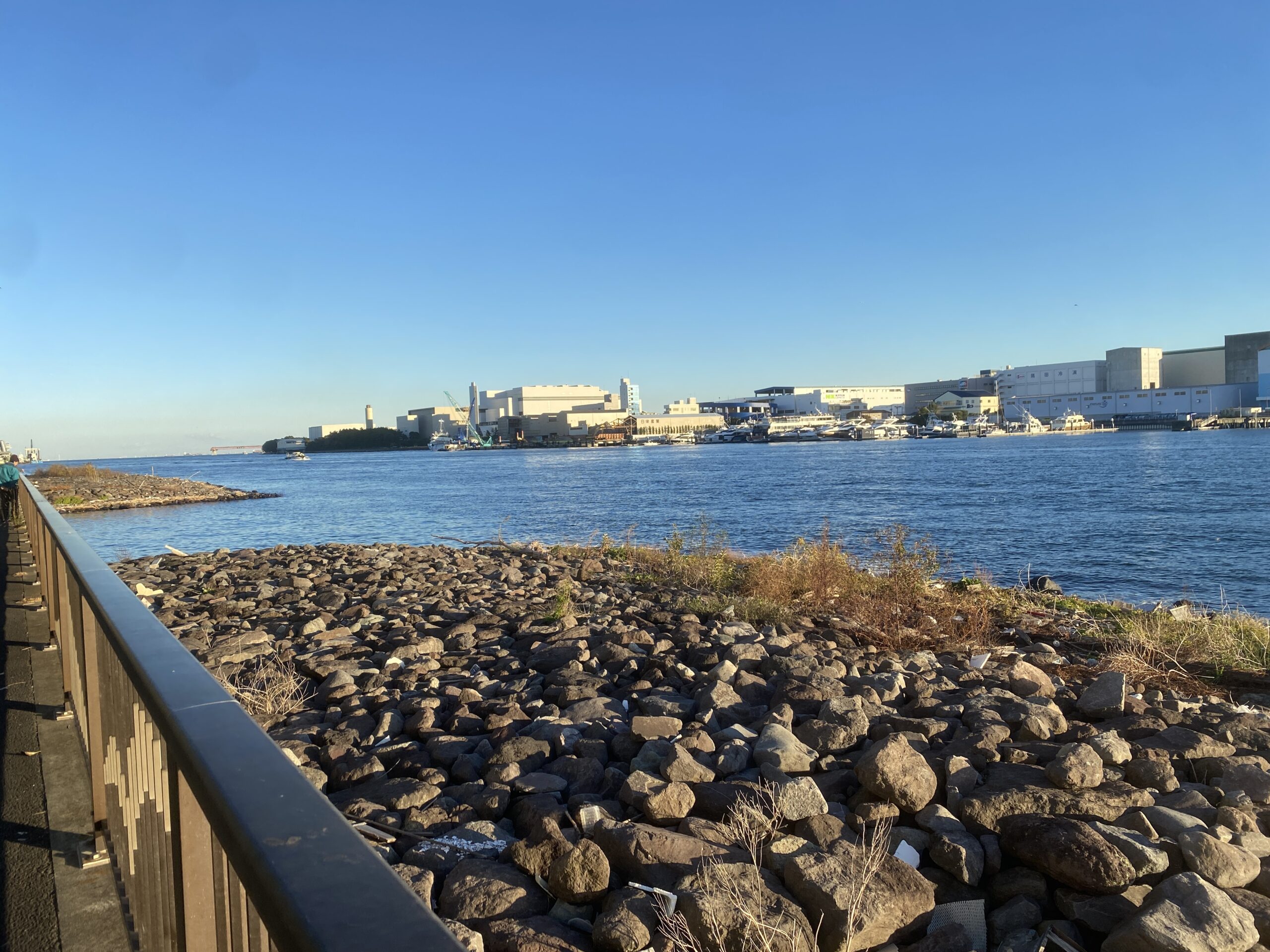 東海緑道公園　釣り
