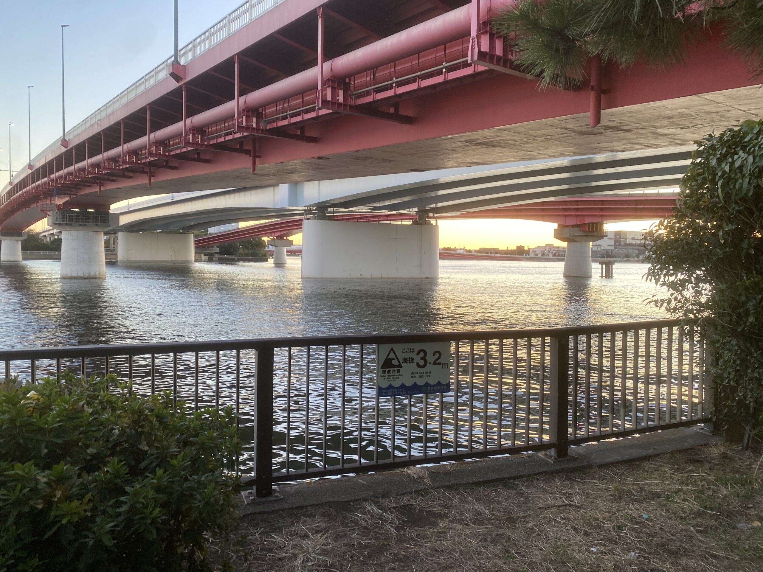 東海緑道公園　釣り