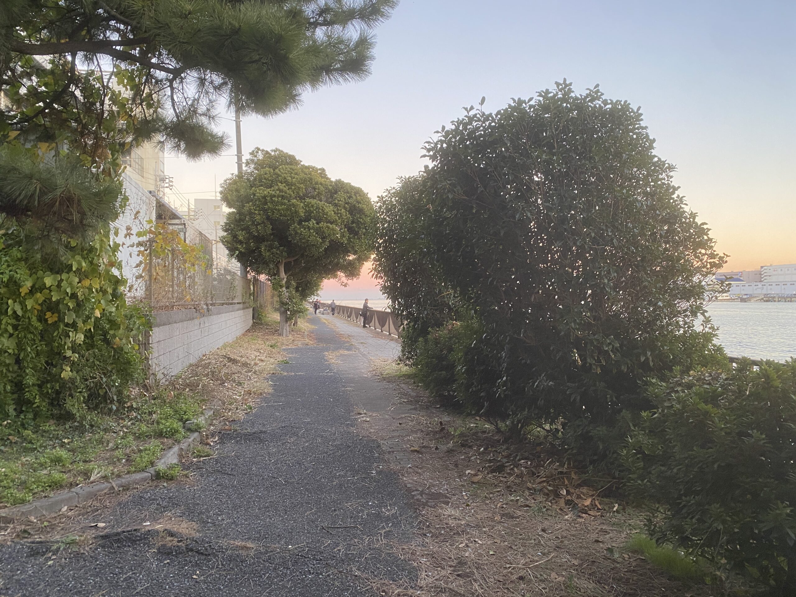 東海緑道公園　釣り