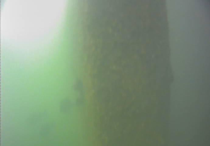 おおたキャナルサイドウォーク 釣り 水中映像